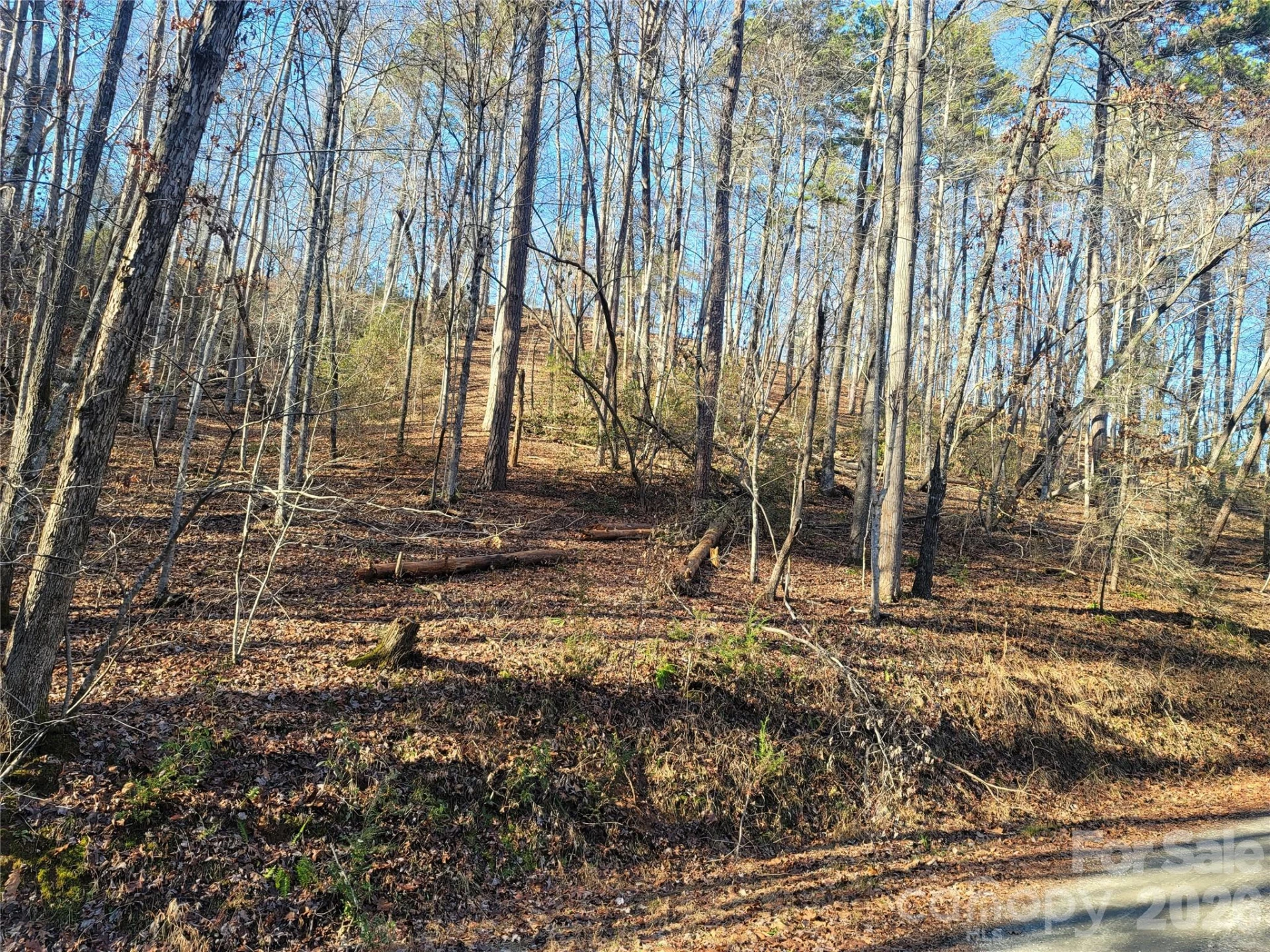 Lot 140 Rainbow Circle - Photo 13
