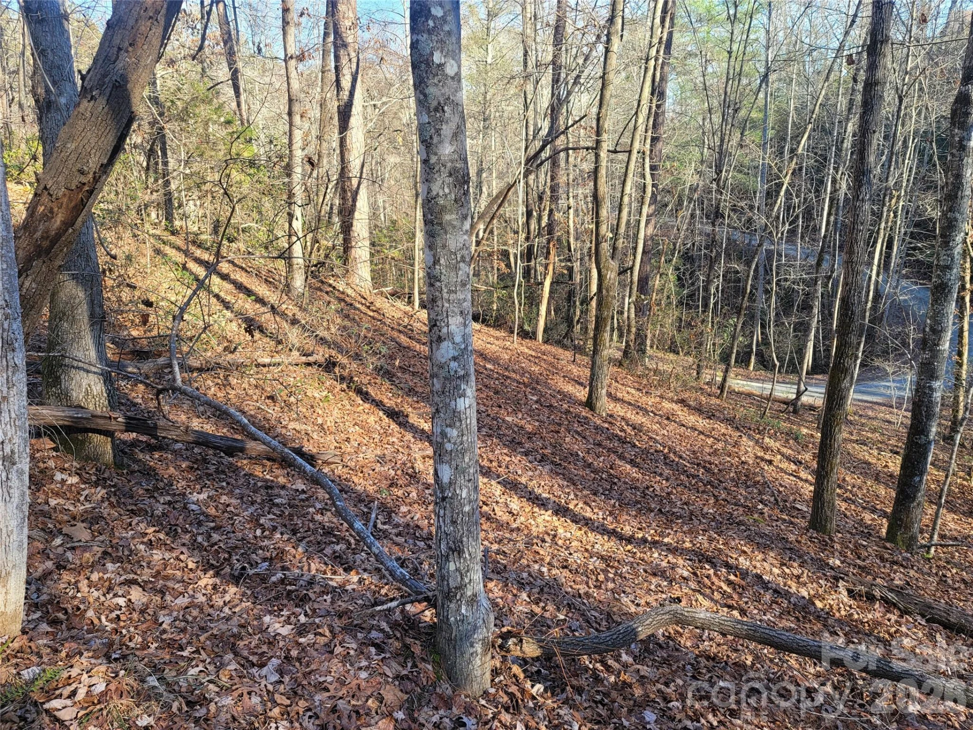 Lot 140 Rainbow Circle - Photo 14