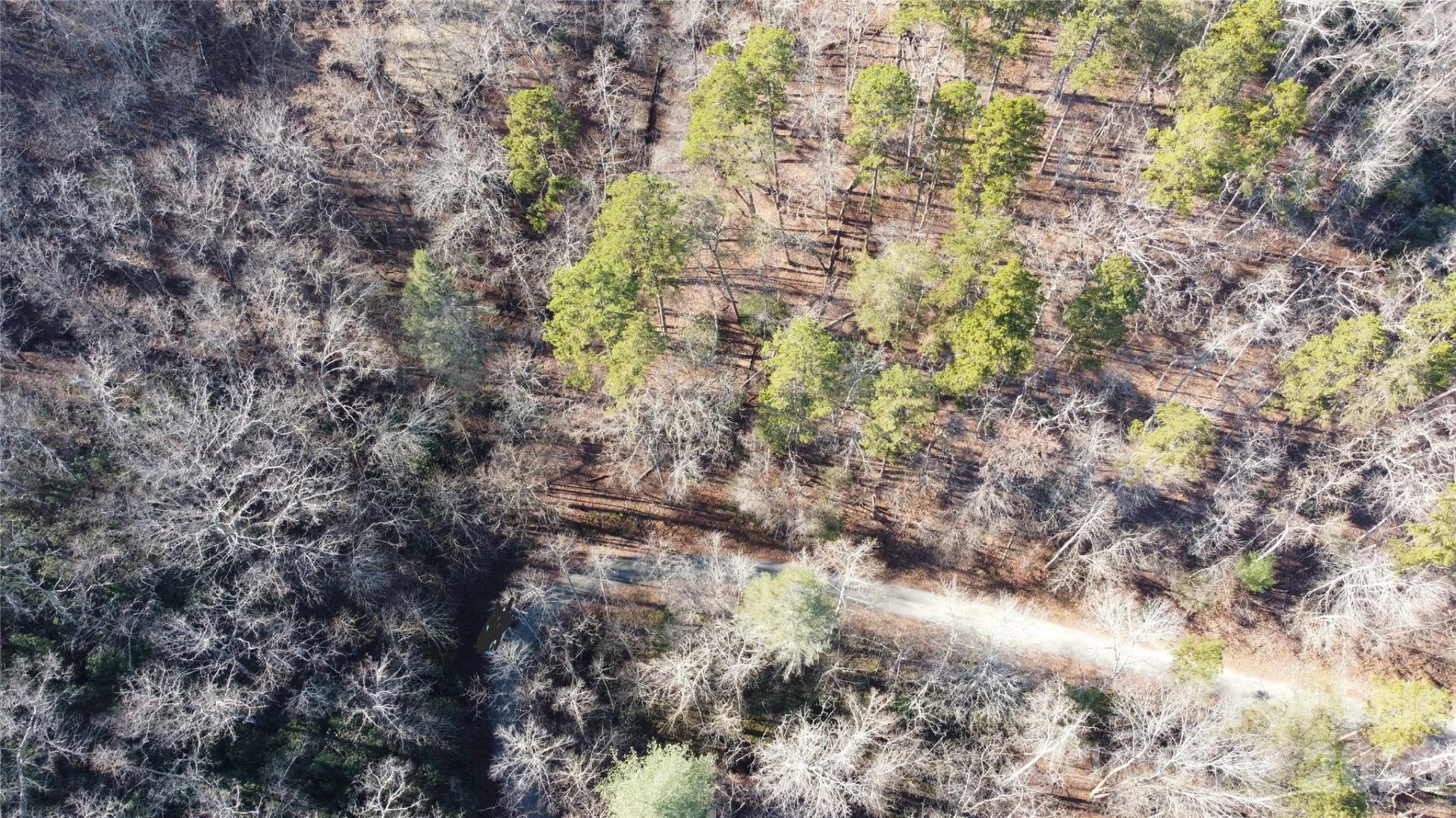 Lot 140 Rainbow Circle - Photo 19