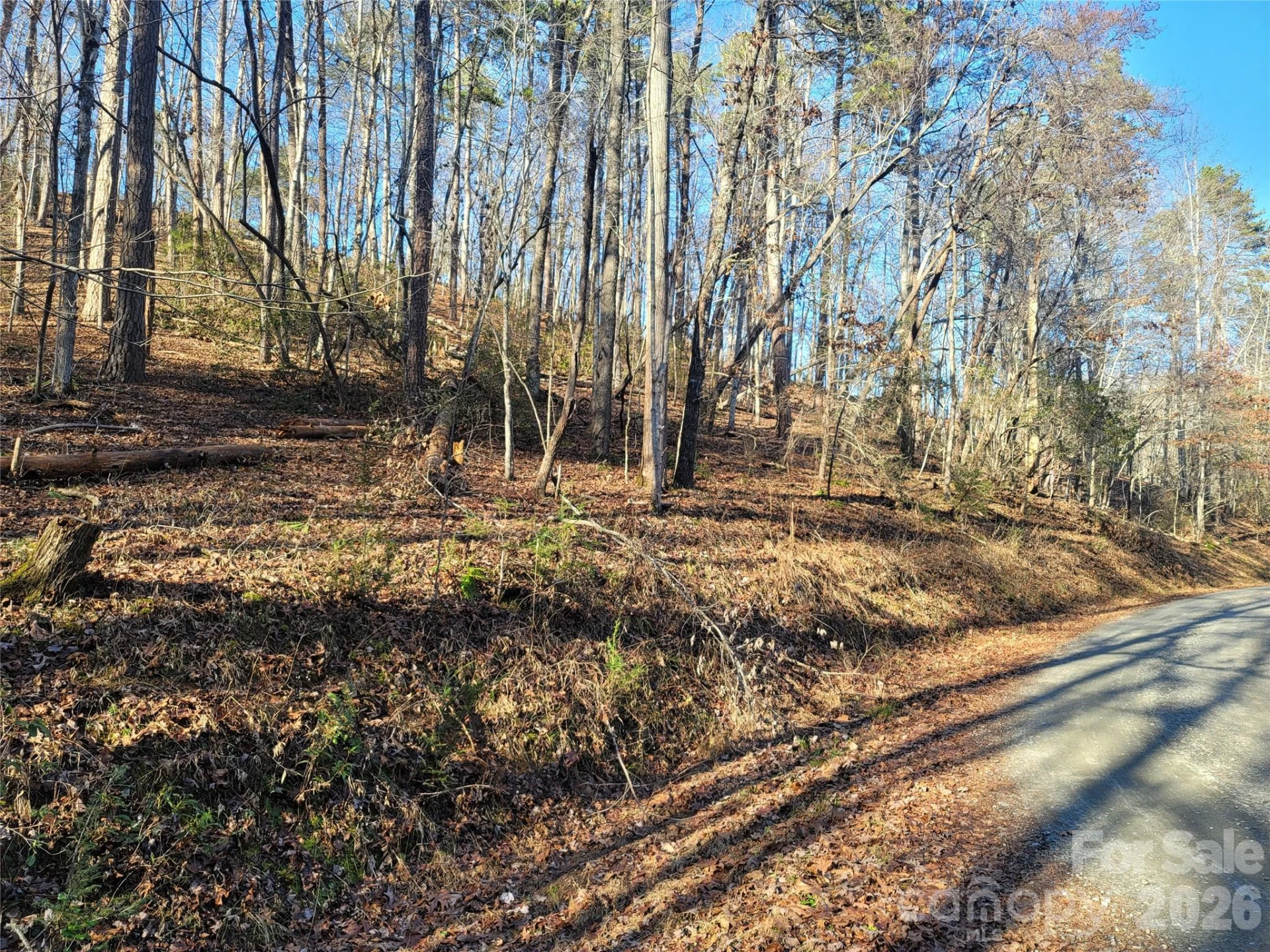 Lot 140 Rainbow Circle - Photo 8