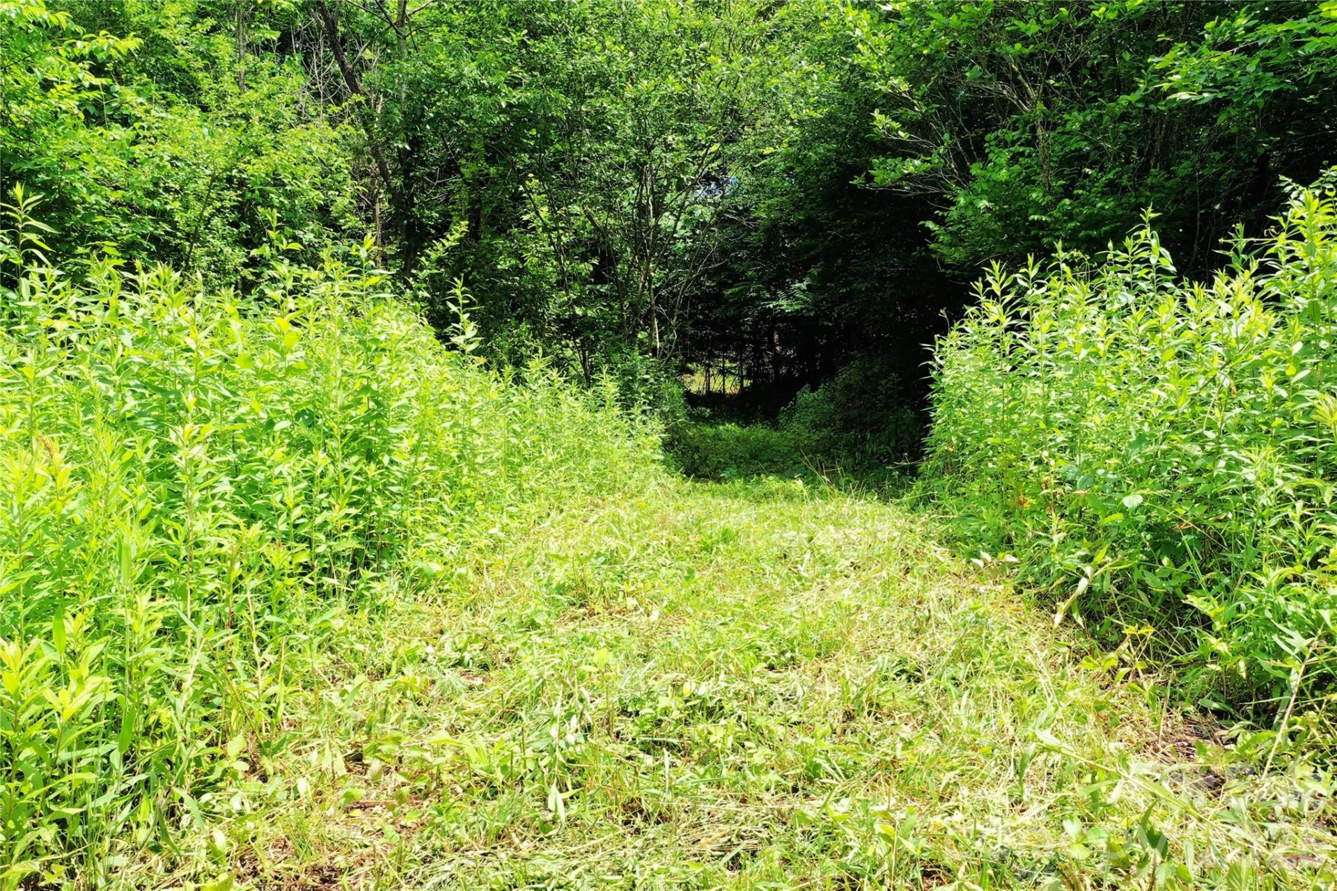 00 Herman Wilson Road - Photo 13