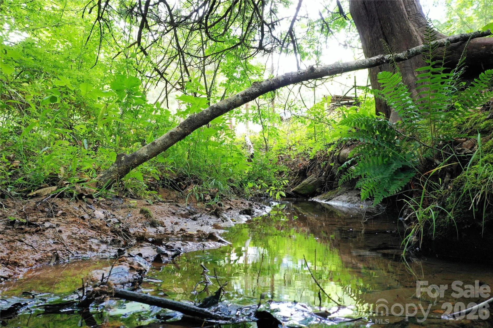 00 Herman Wilson Road - Photo 15