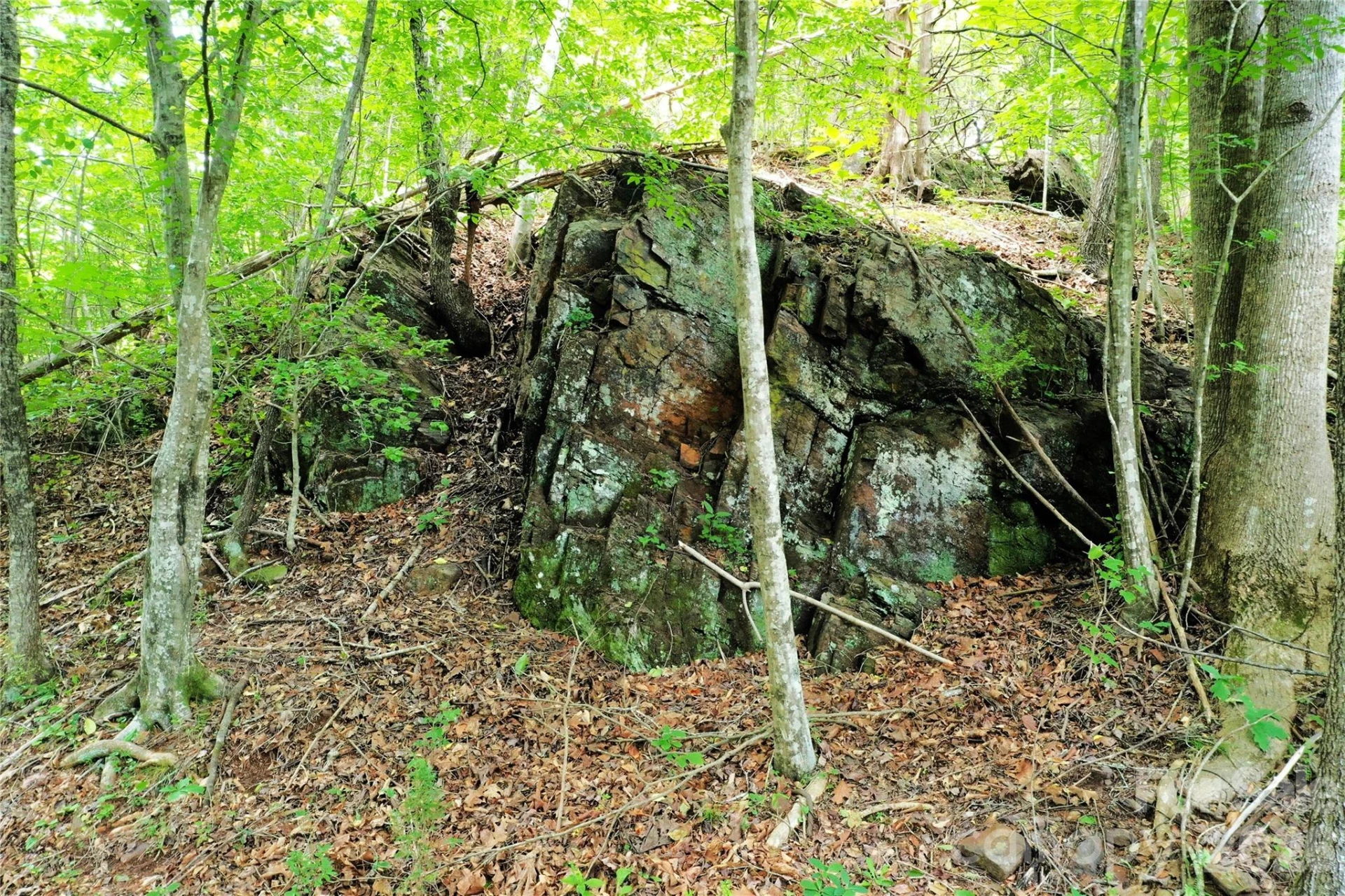 00 Herman Wilson Road - Photo 16