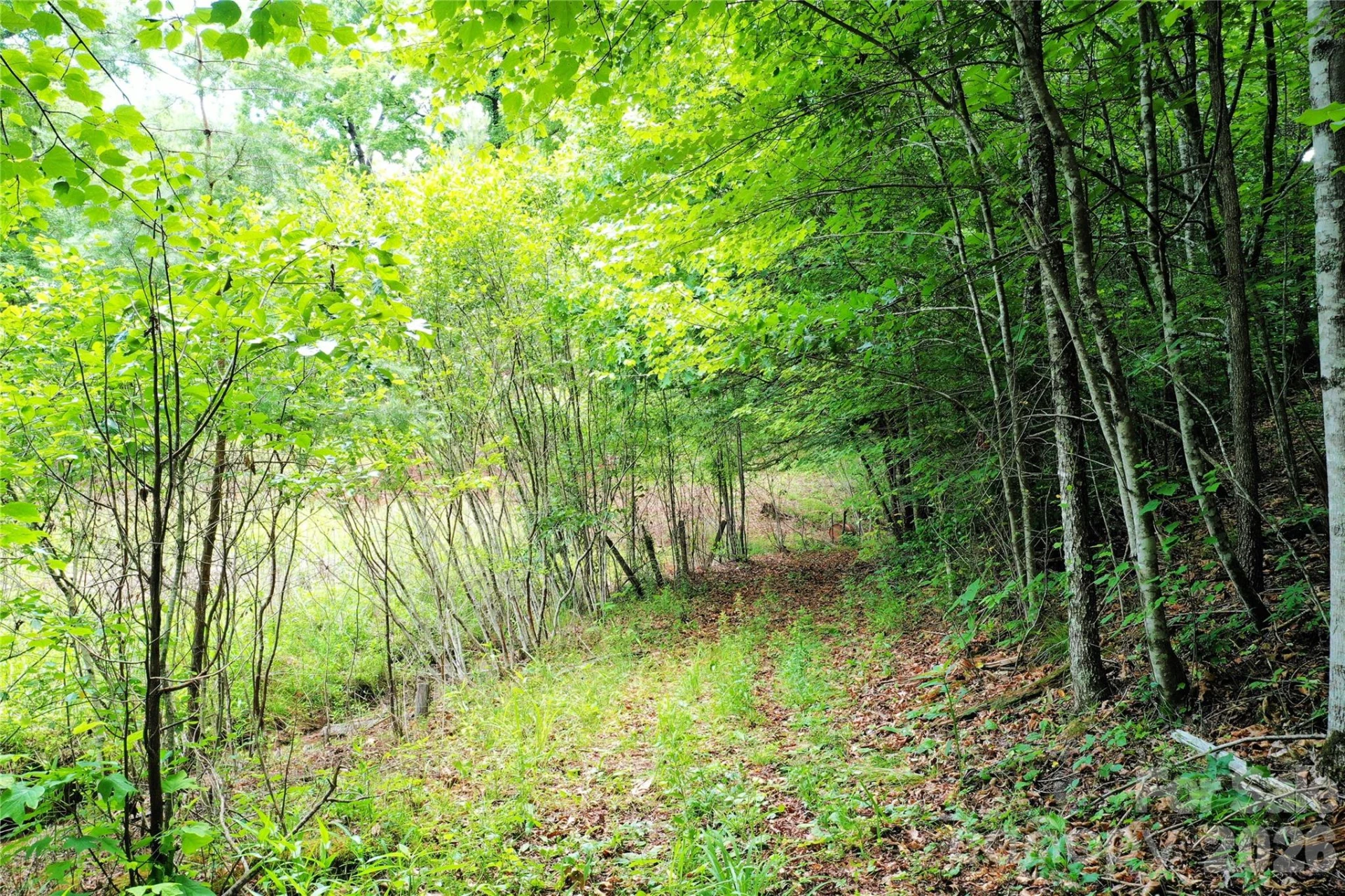 00 Herman Wilson Road - Photo 17