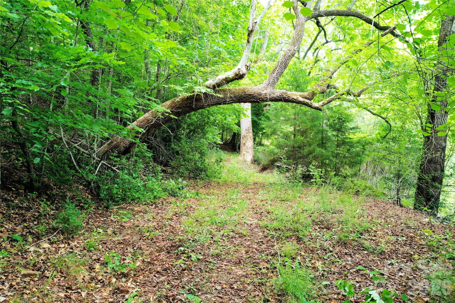 00 Herman Wilson Road - Photo 18