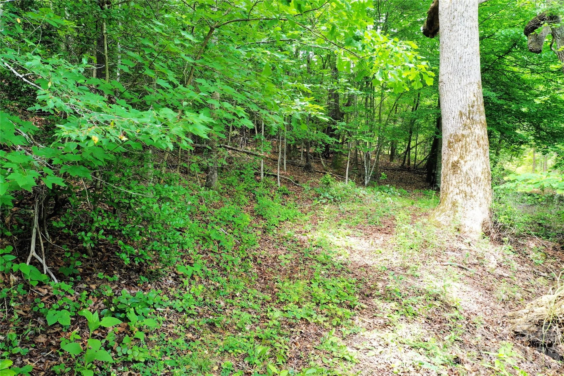 00 Herman Wilson Road - Photo 19