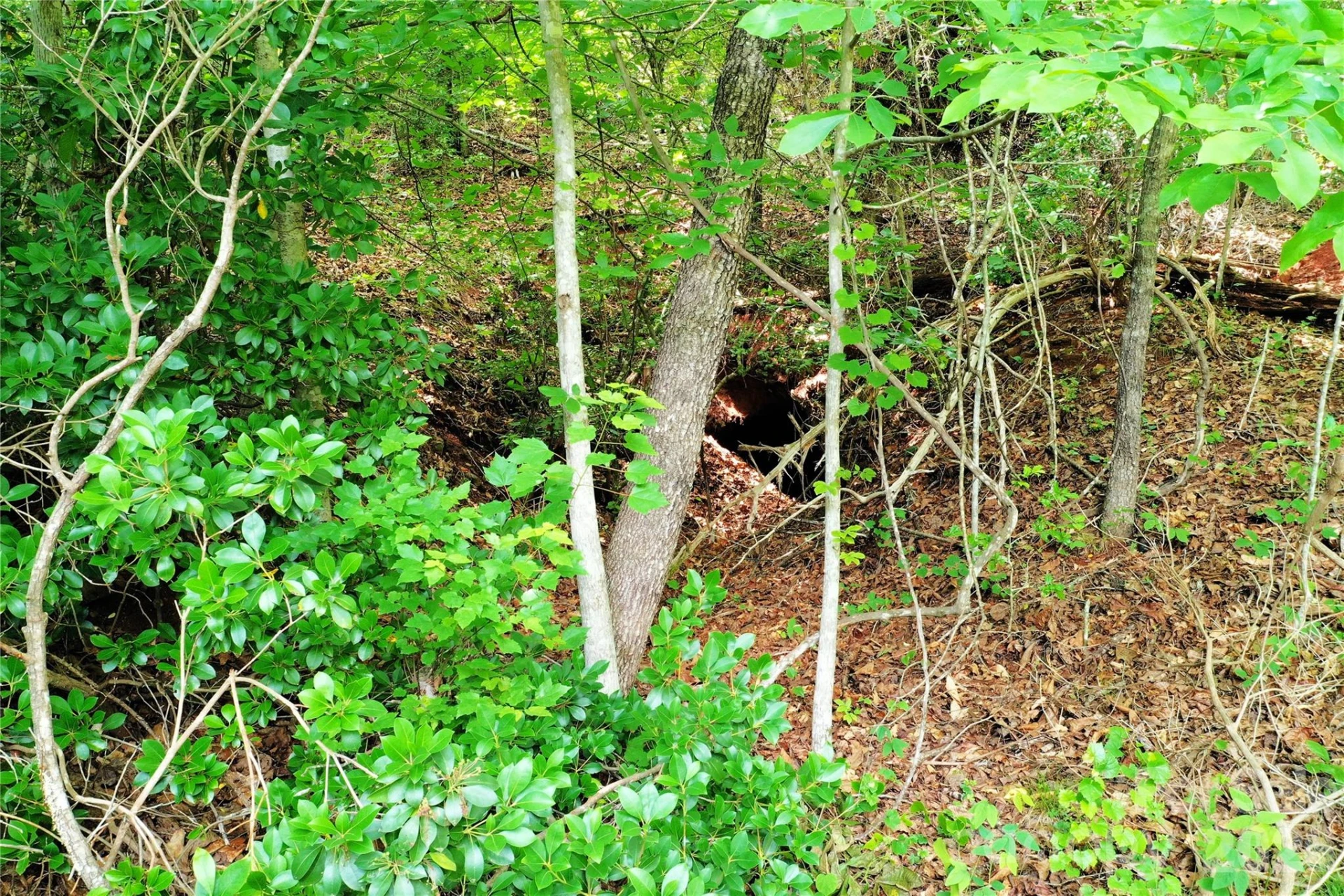 00 Herman Wilson Road - Photo 20