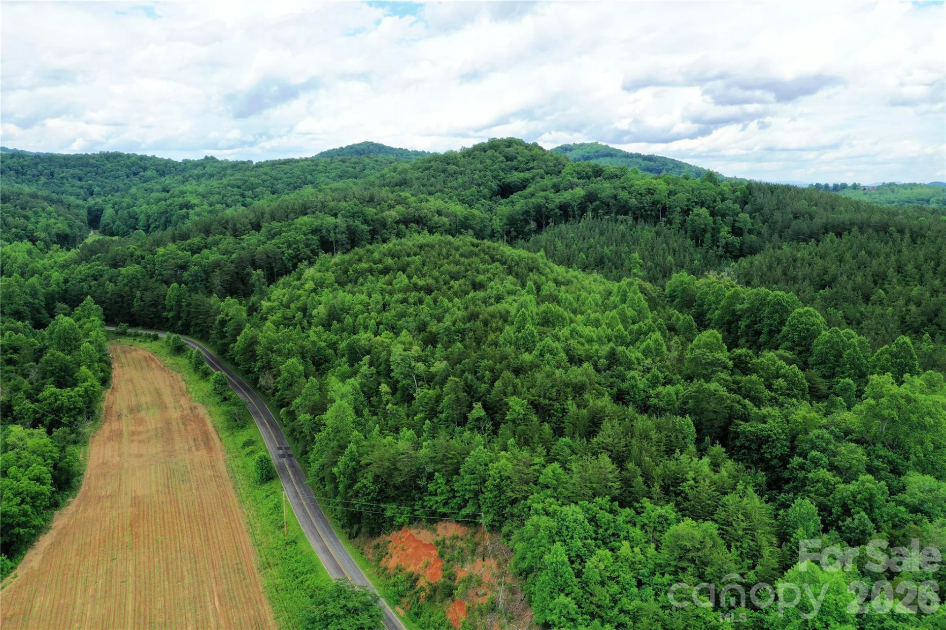 00 Herman Wilson Road - Photo 4