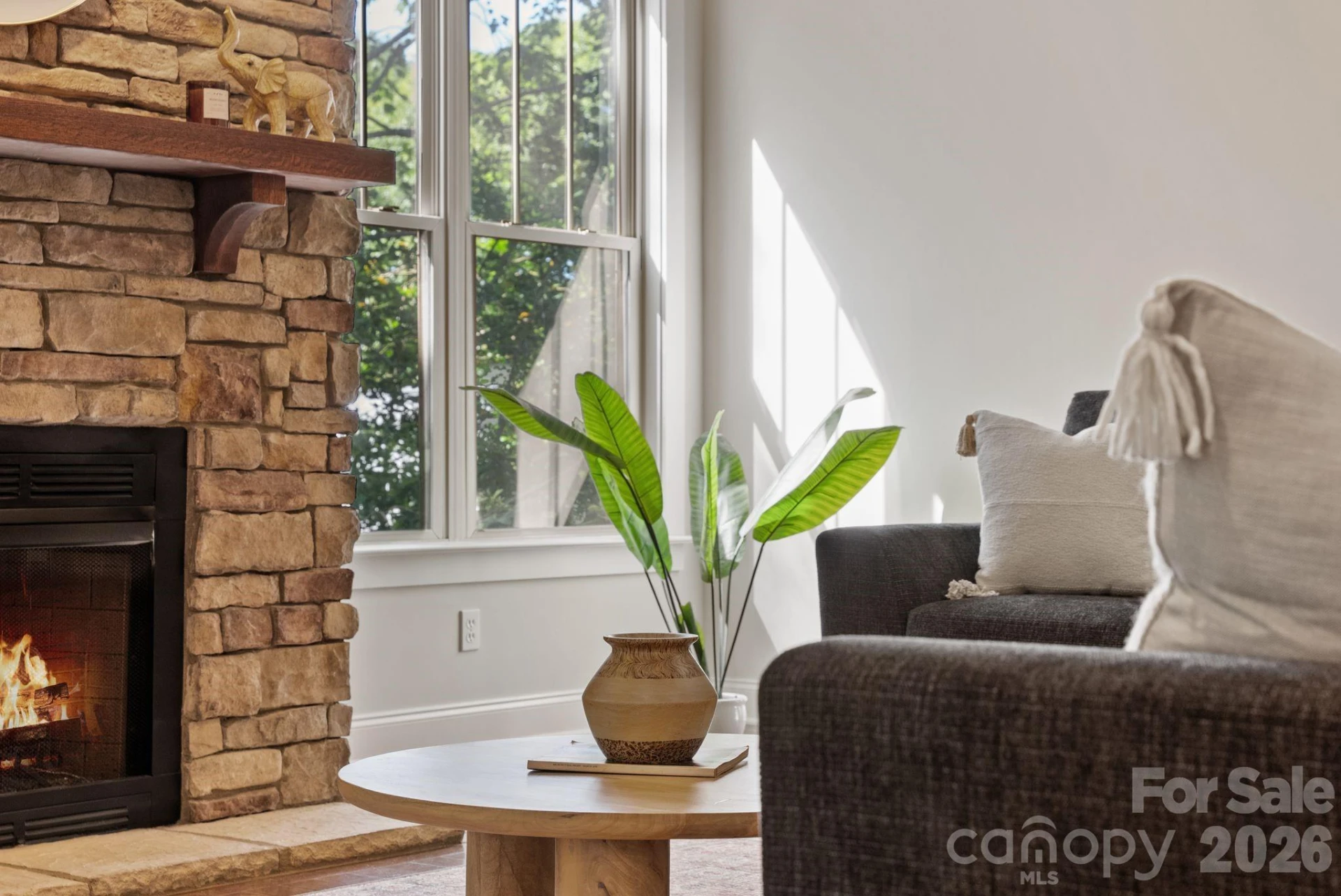 289 Fennel Dun Circle - Photo 8