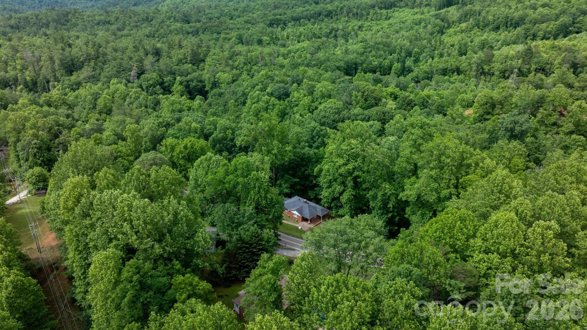 4073 NC 226A Highway - Photo 37