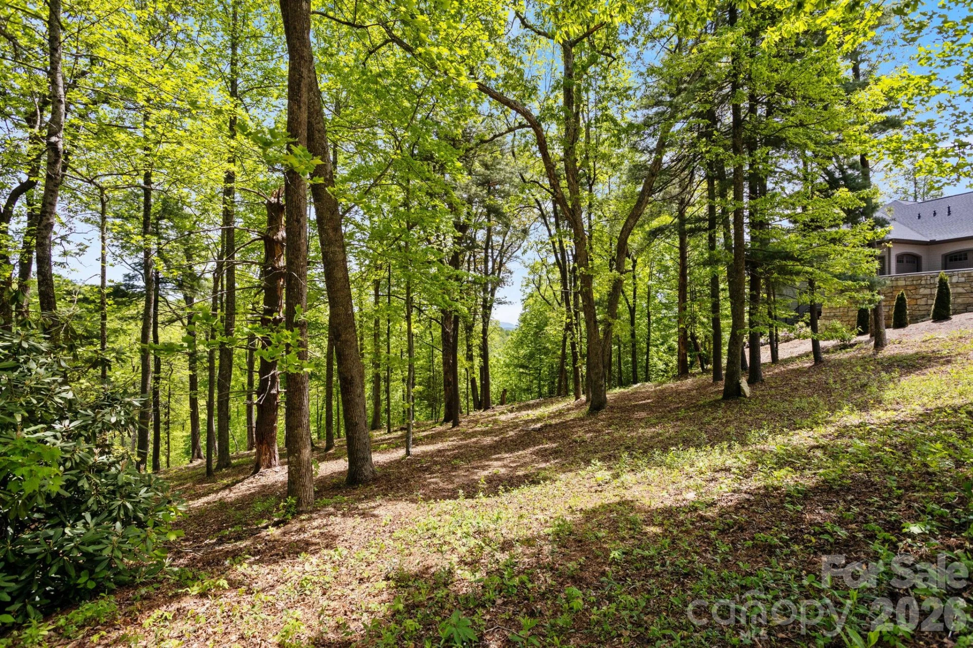000 Hollybrook Drive #S-15 - Photo 6