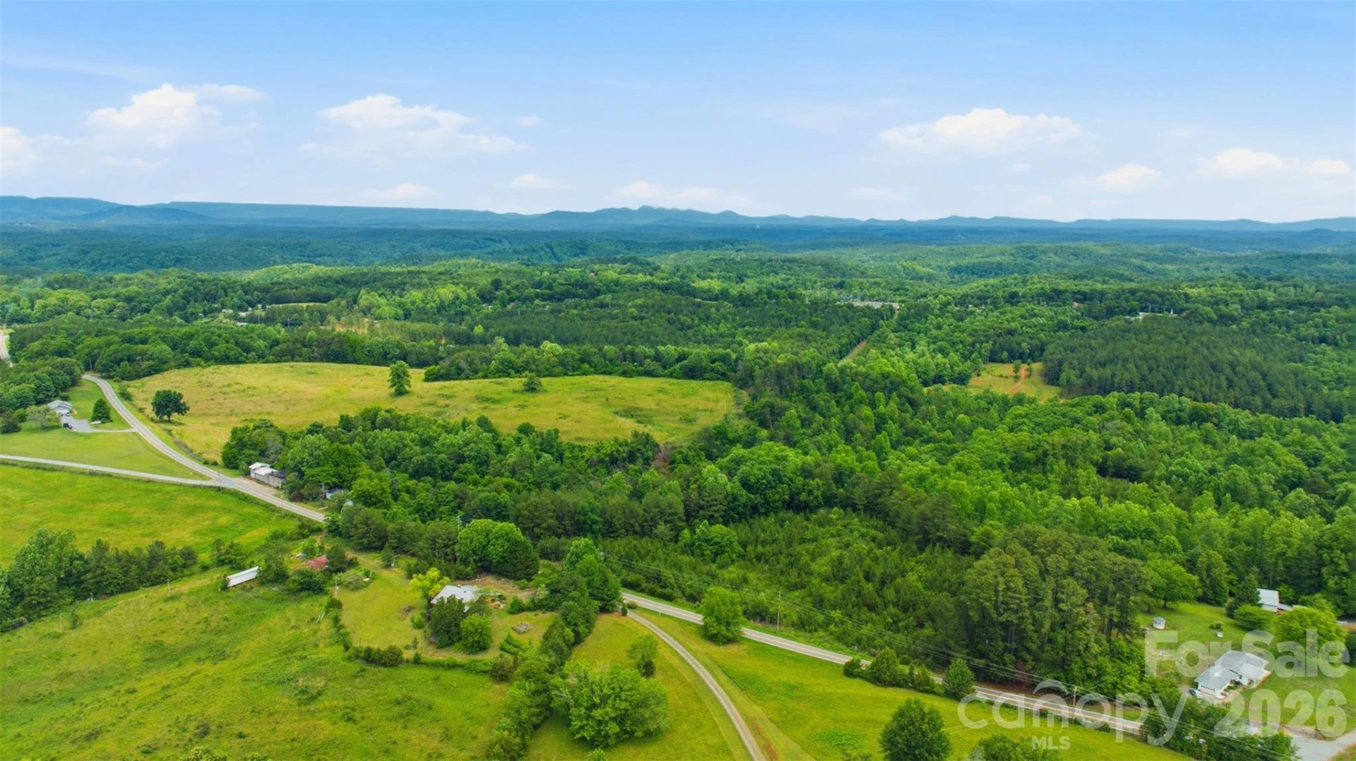 536 Pea Ridge Road - Photo 3