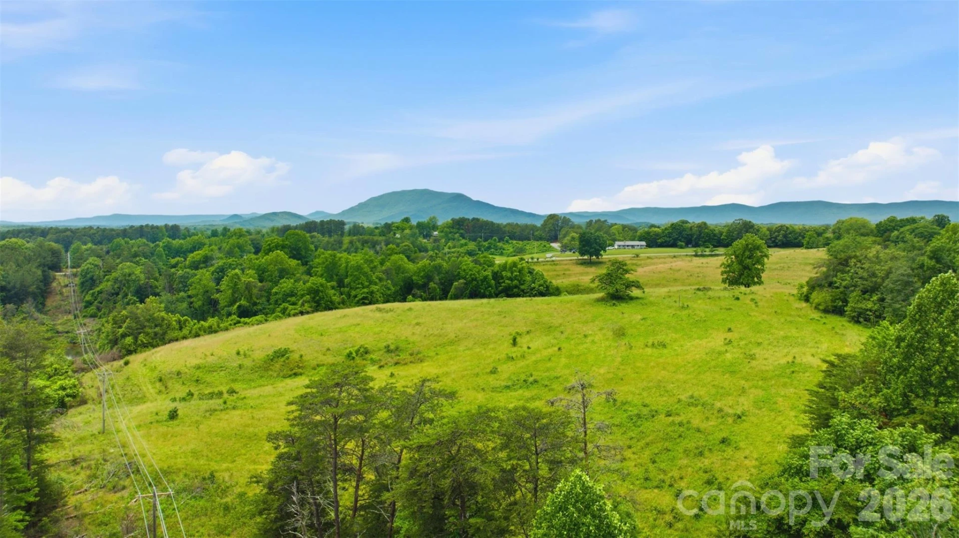 536 Pea Ridge Road - Photo 6