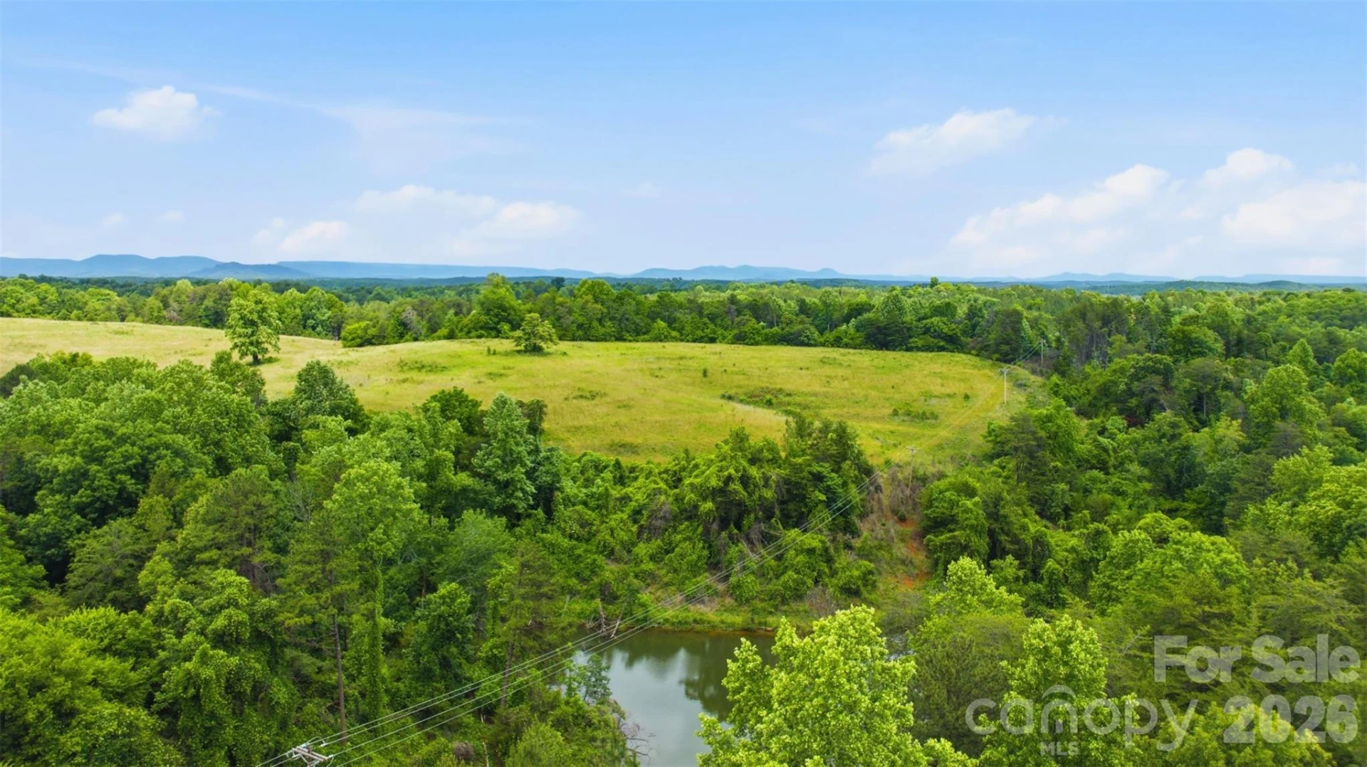 536 Pea Ridge Road - Photo 7