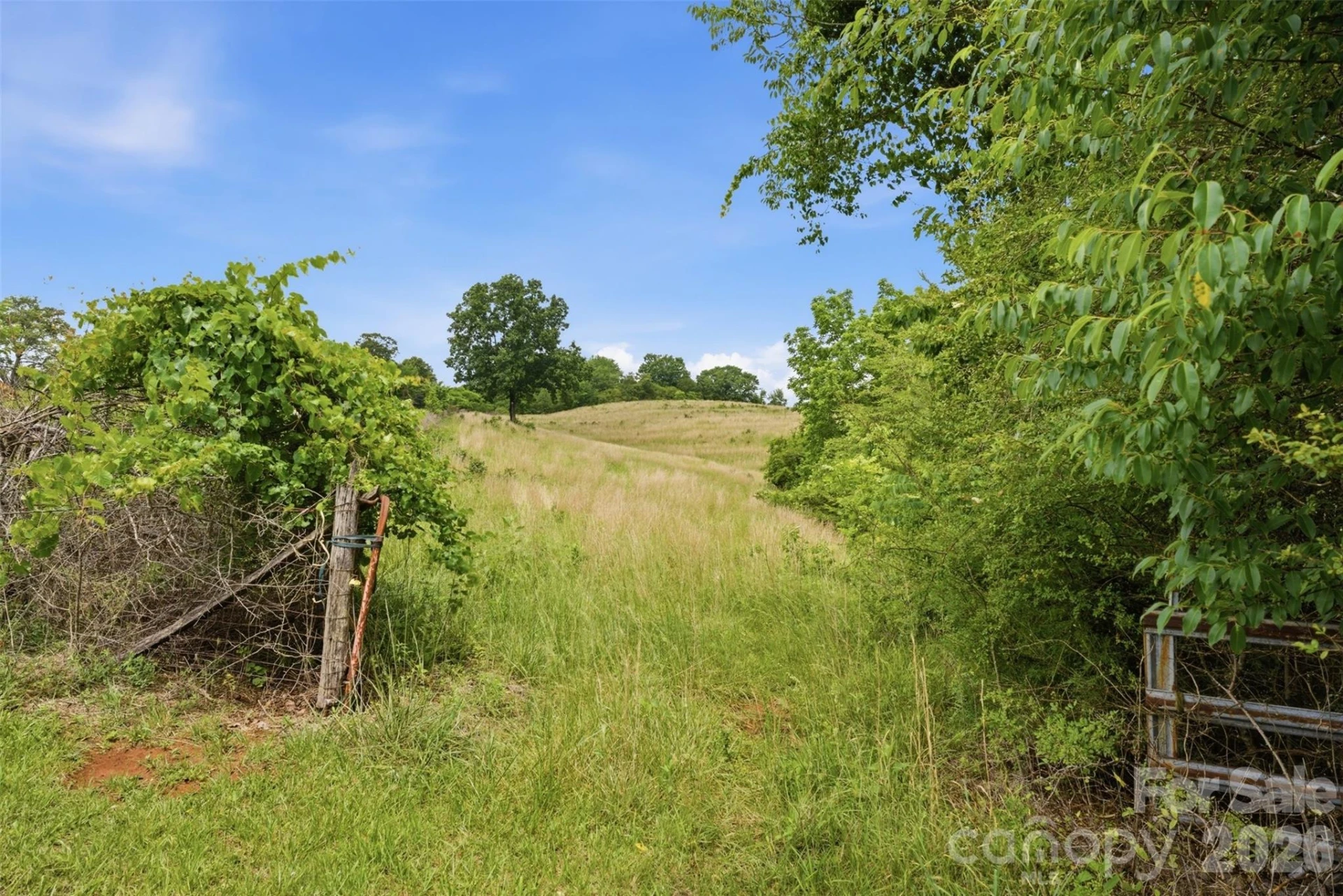 536 Pea Ridge Road - Photo 8