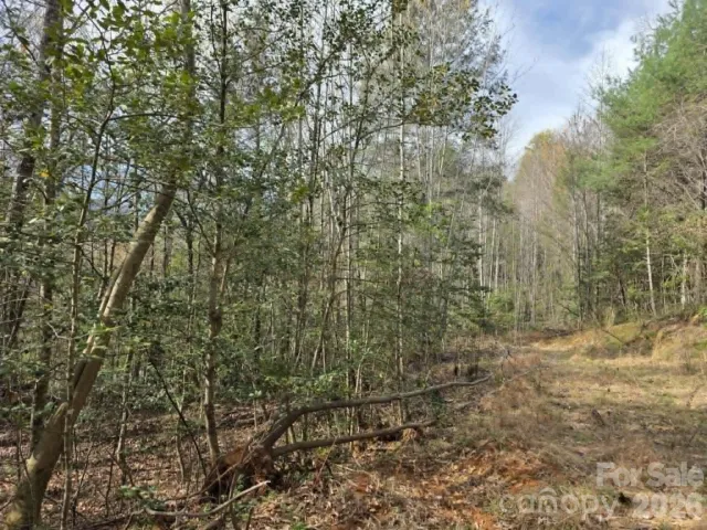 Lot 5 Kerlee Lane, Old Fort, NC, 28762