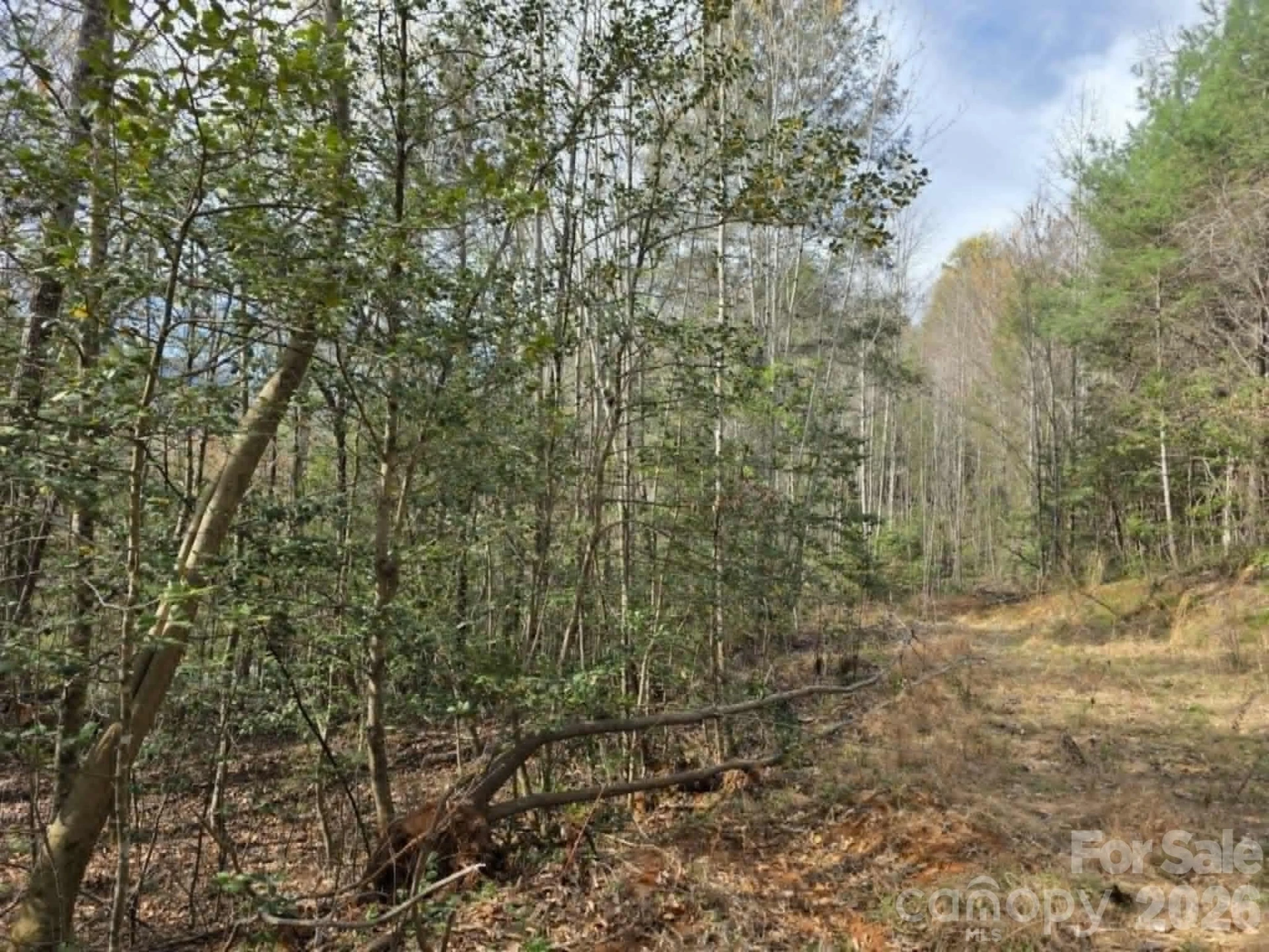 Lot 5 Kerlee Lane