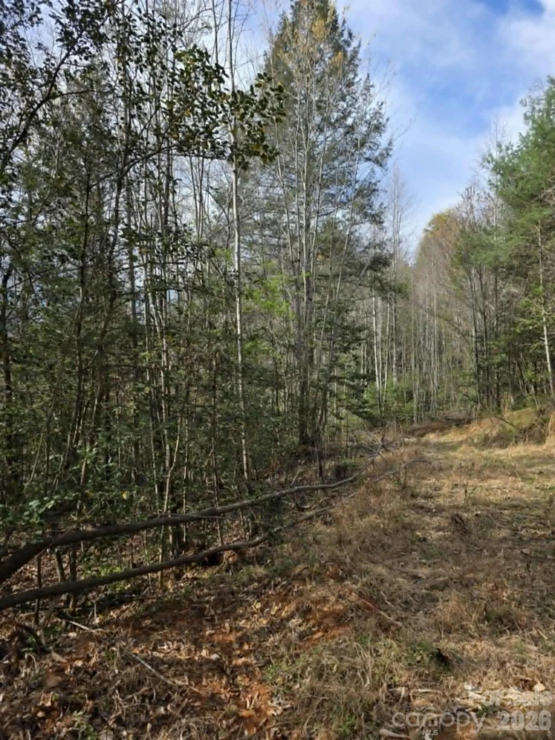 Lot 5 Kerlee Lane - Photo 2