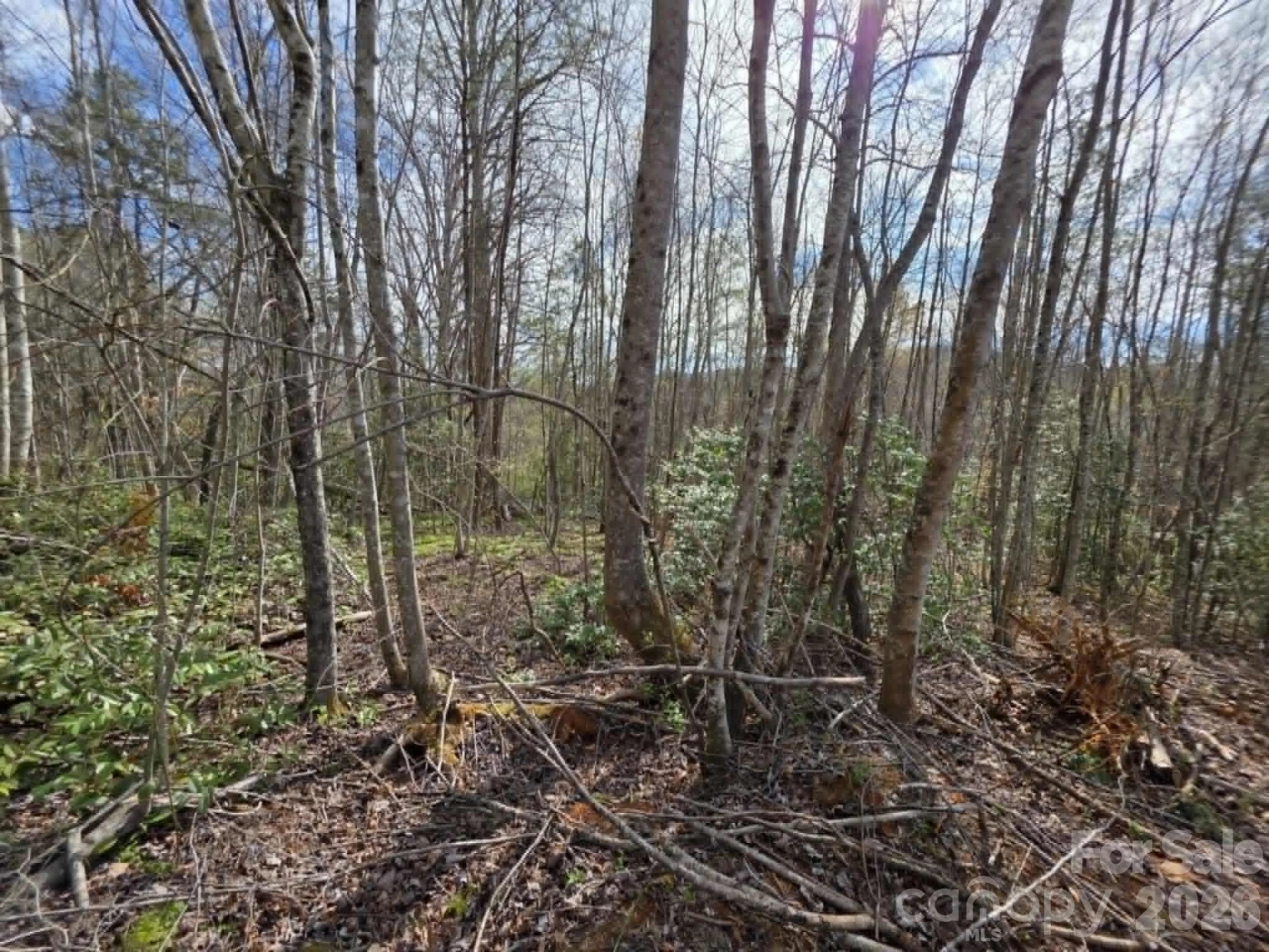 Lot 5 Kerlee Lane - Photo 3