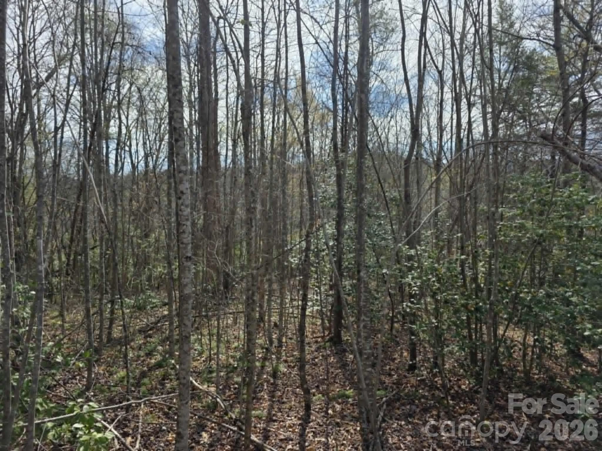 Lot 5 Kerlee Lane - Photo 4