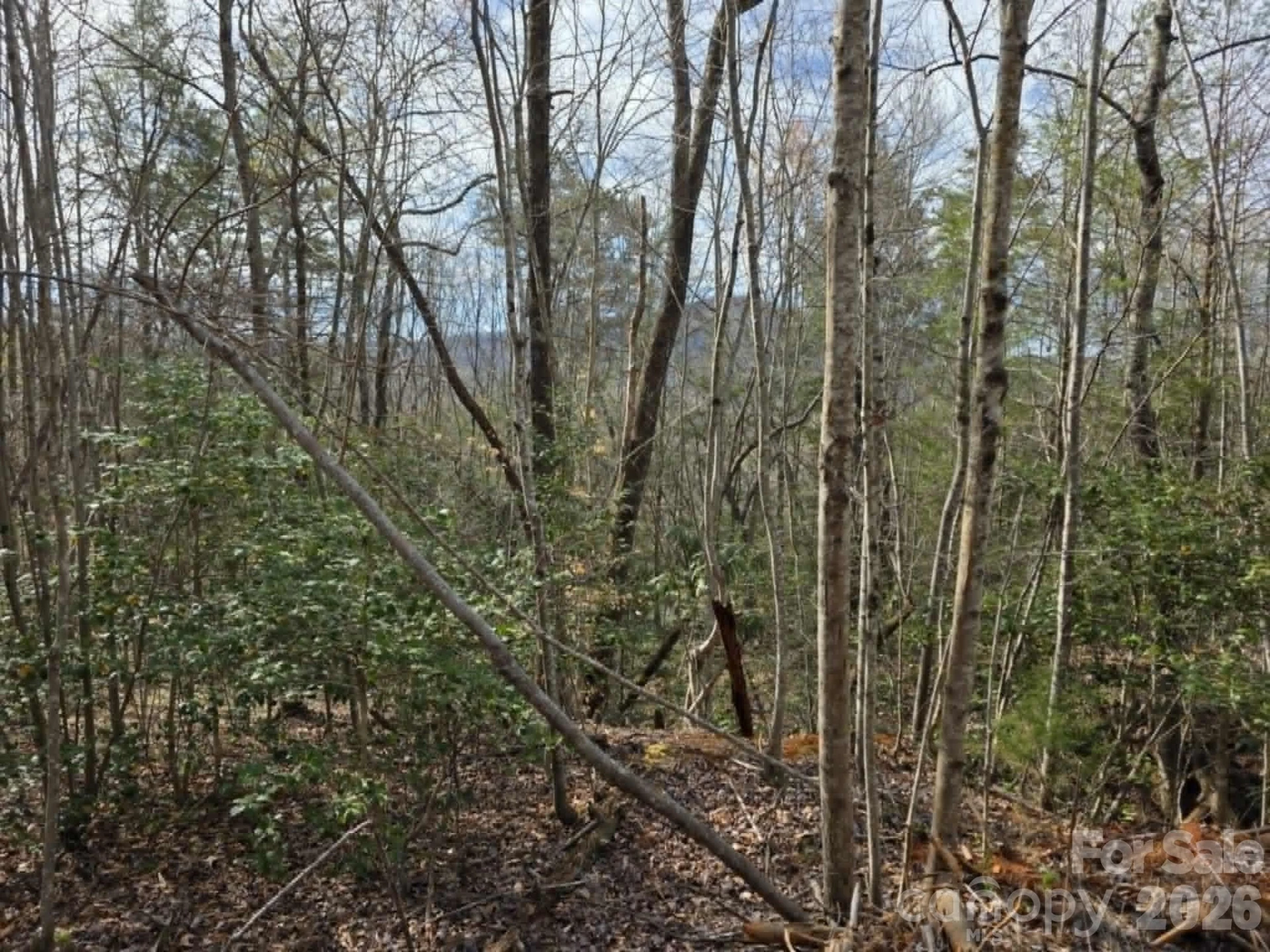 Lot 5 Kerlee Lane - Photo 5