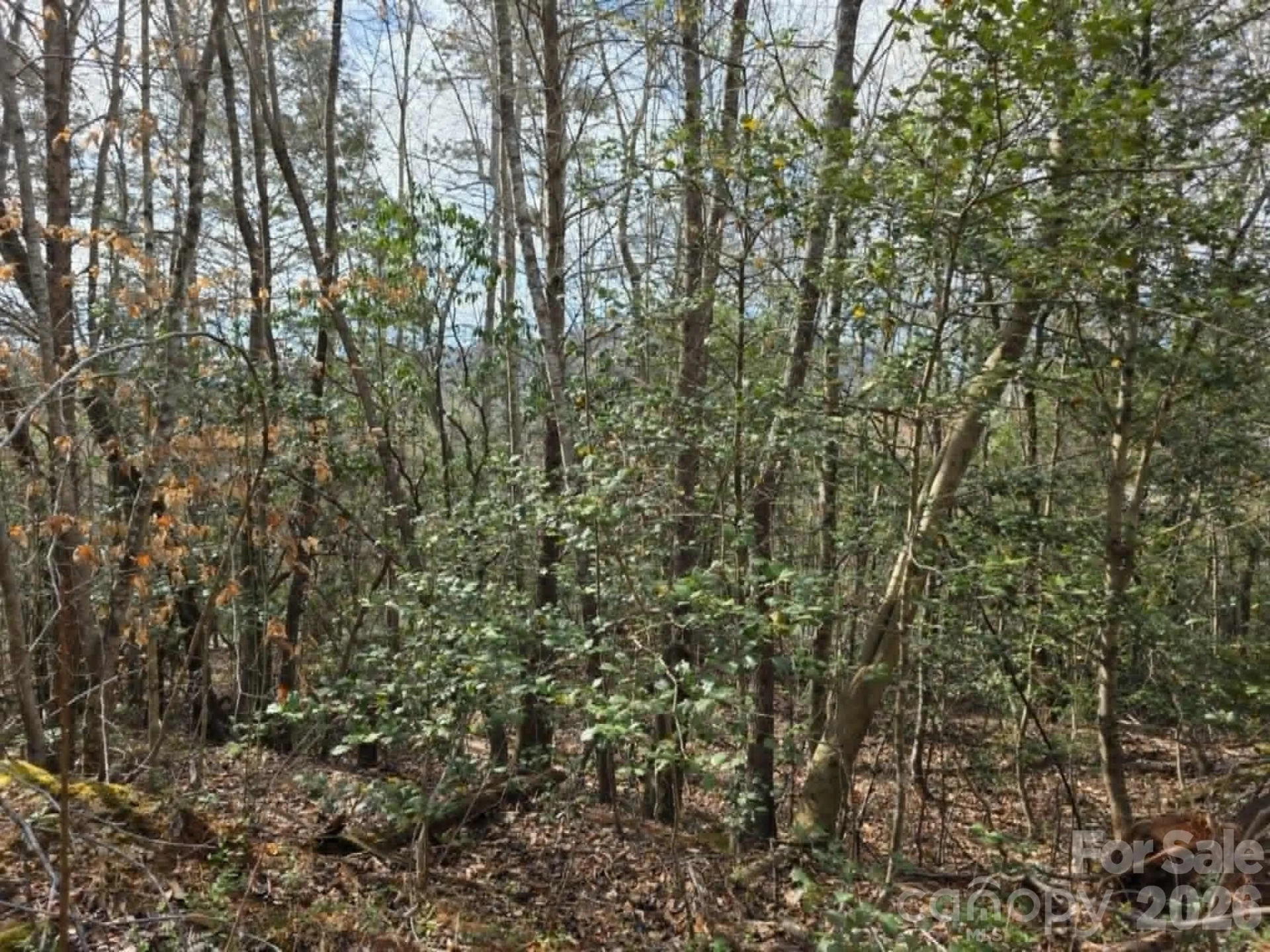 Lot 5 Kerlee Lane - Photo 6
