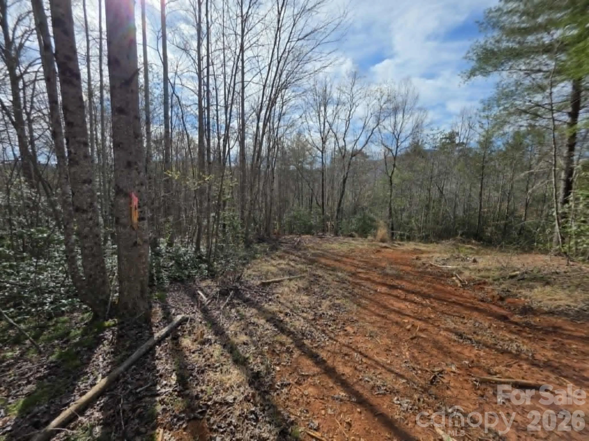 Lot 5 Kerlee Lane - Photo 7