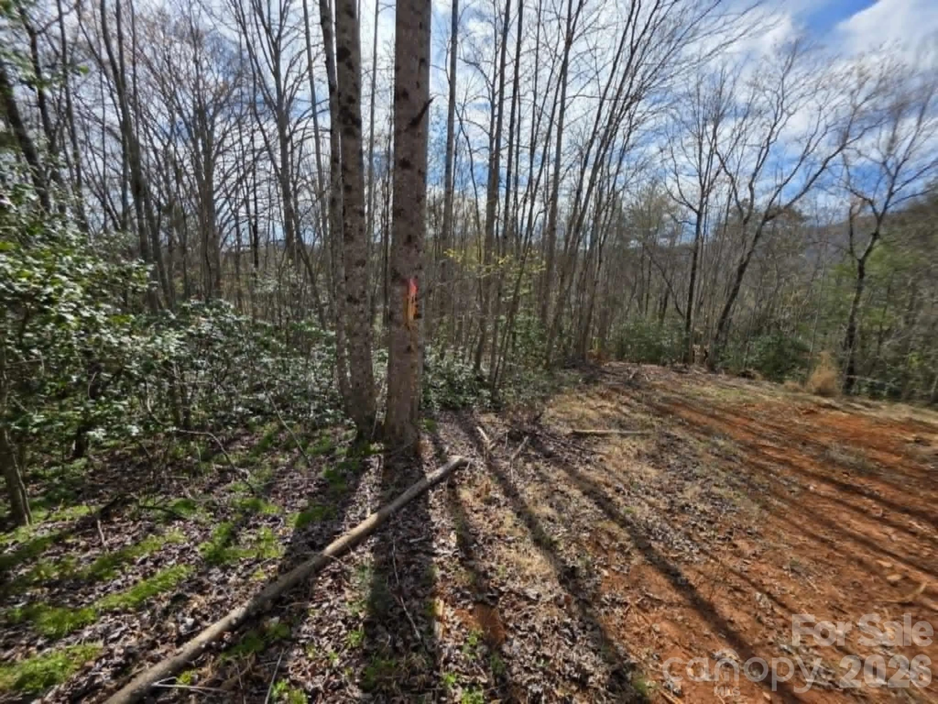 Lot 5 Kerlee Lane - Photo 8