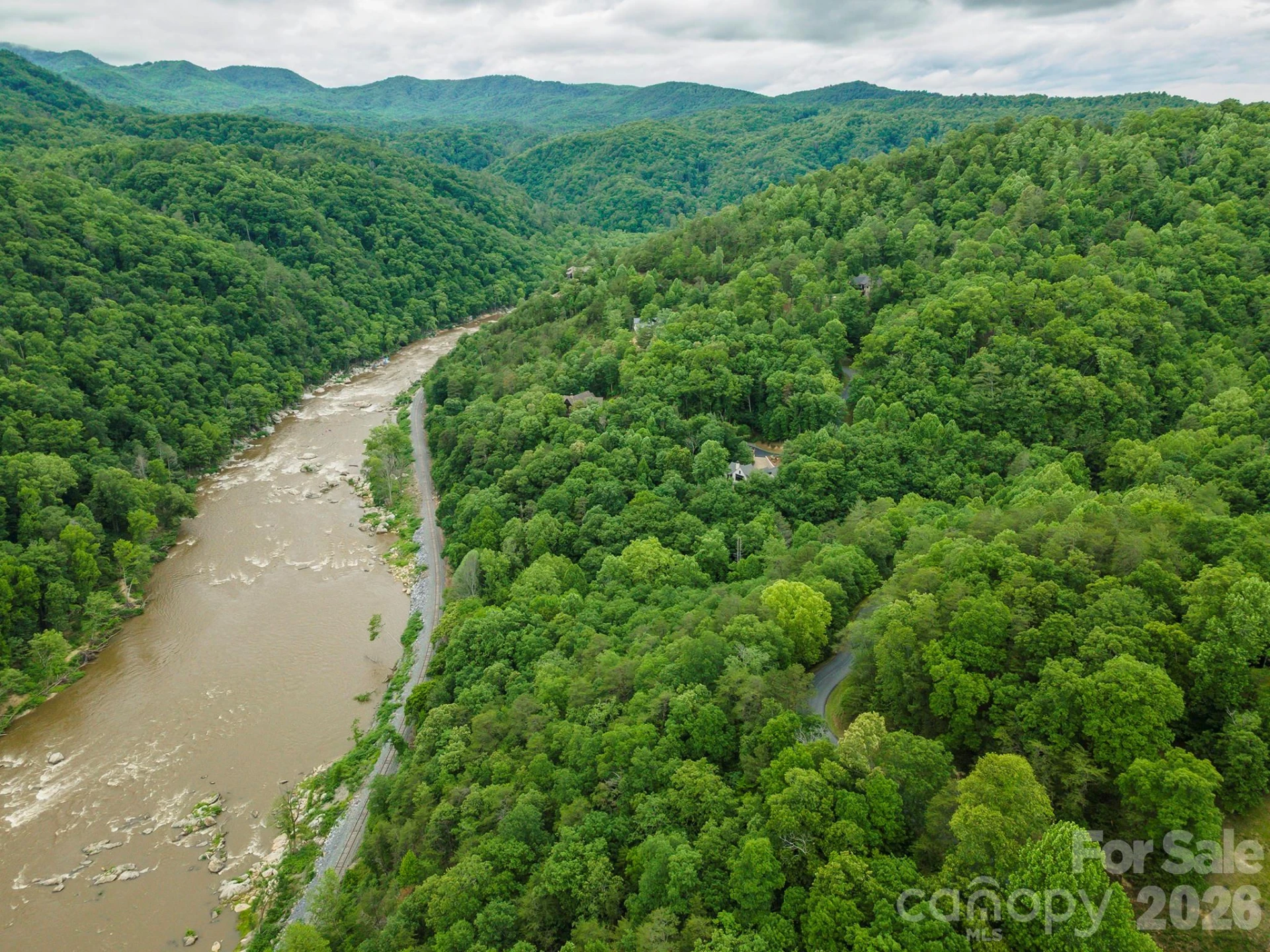 2391 French Broad Parkway #34 - Photo 4