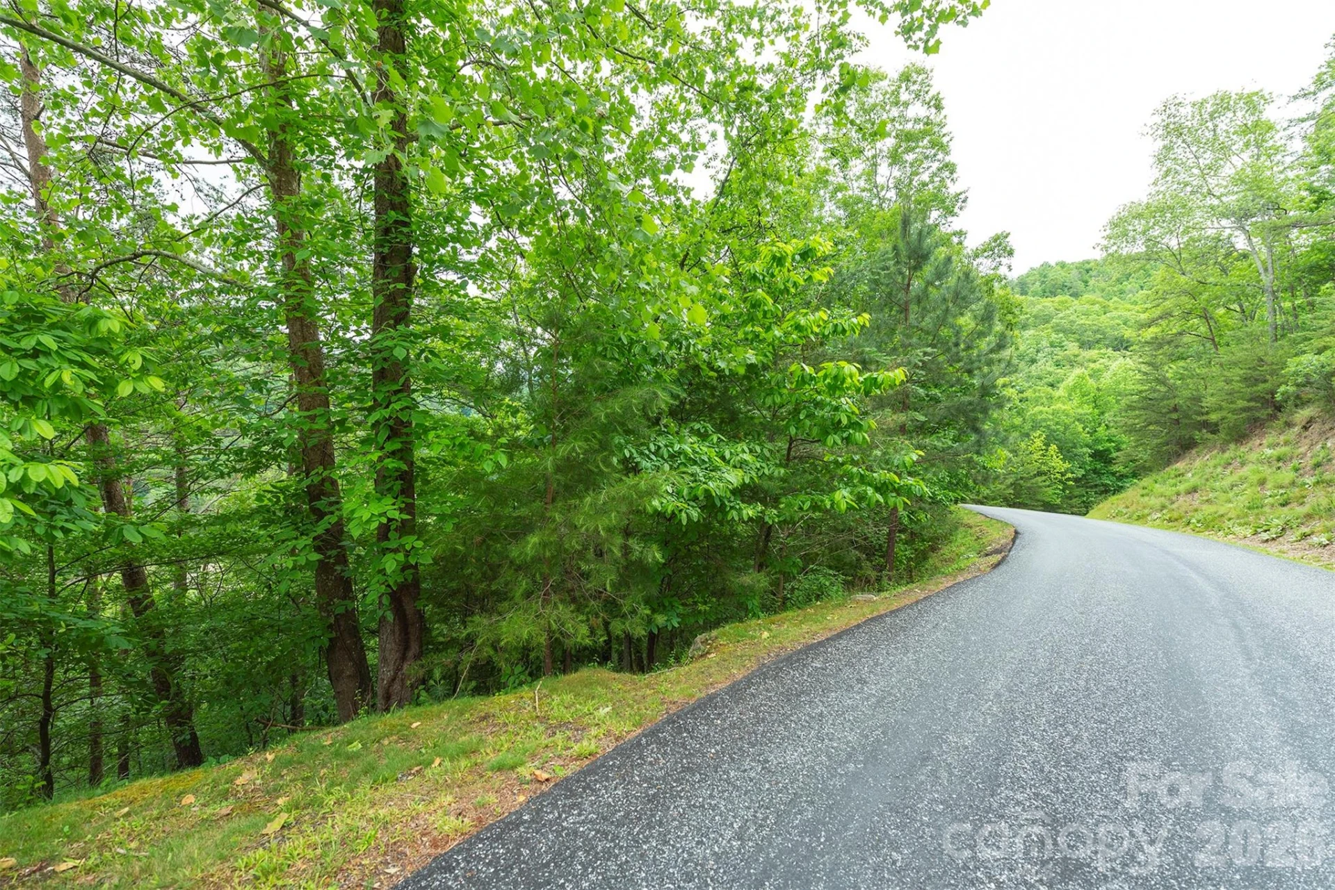 2391 French Broad Parkway #34 - Photo 6