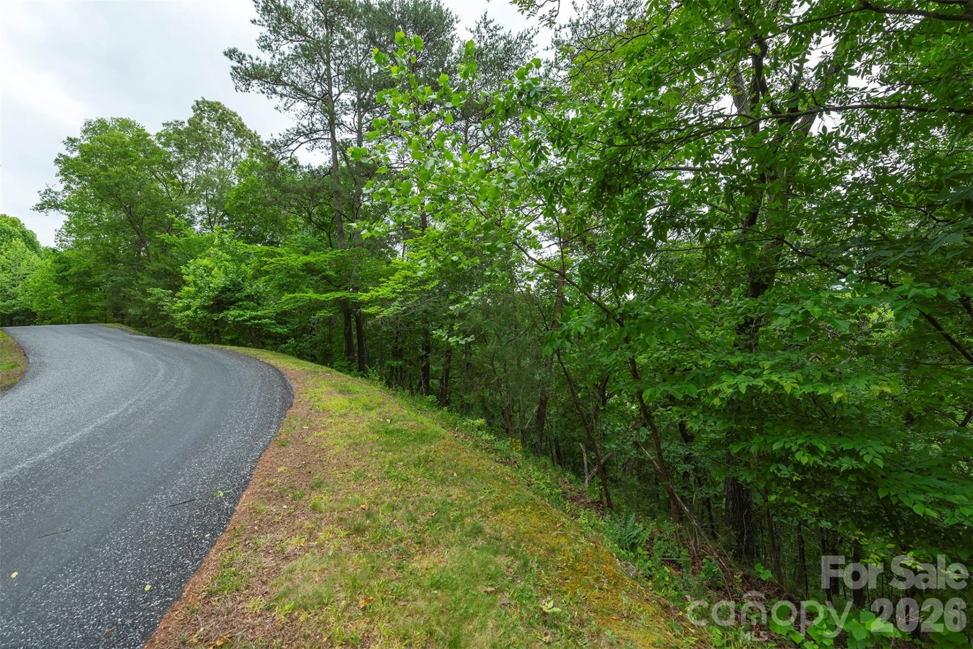 2391 French Broad Parkway #34 - Photo 7