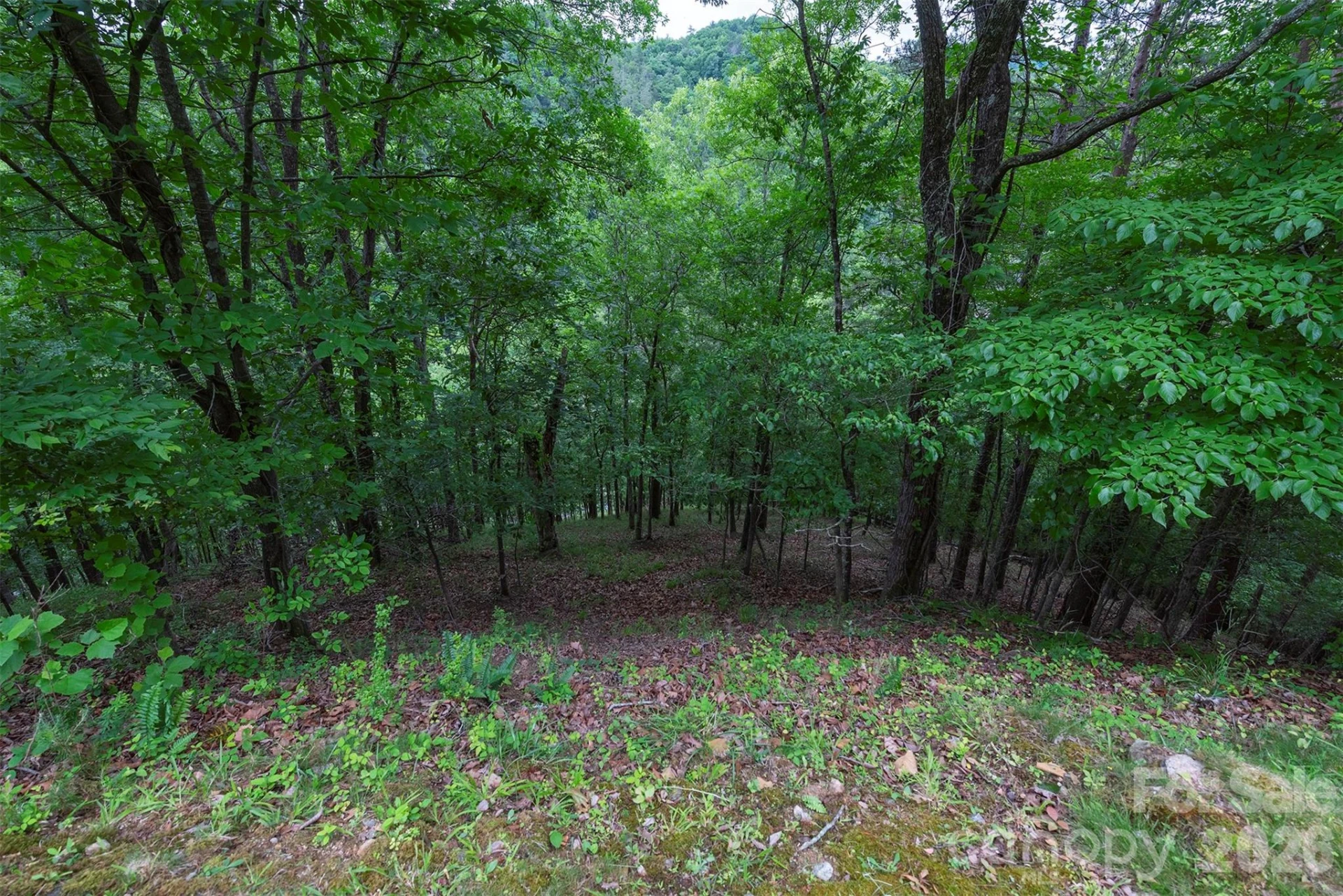 2391 French Broad Parkway #34 - Photo 8