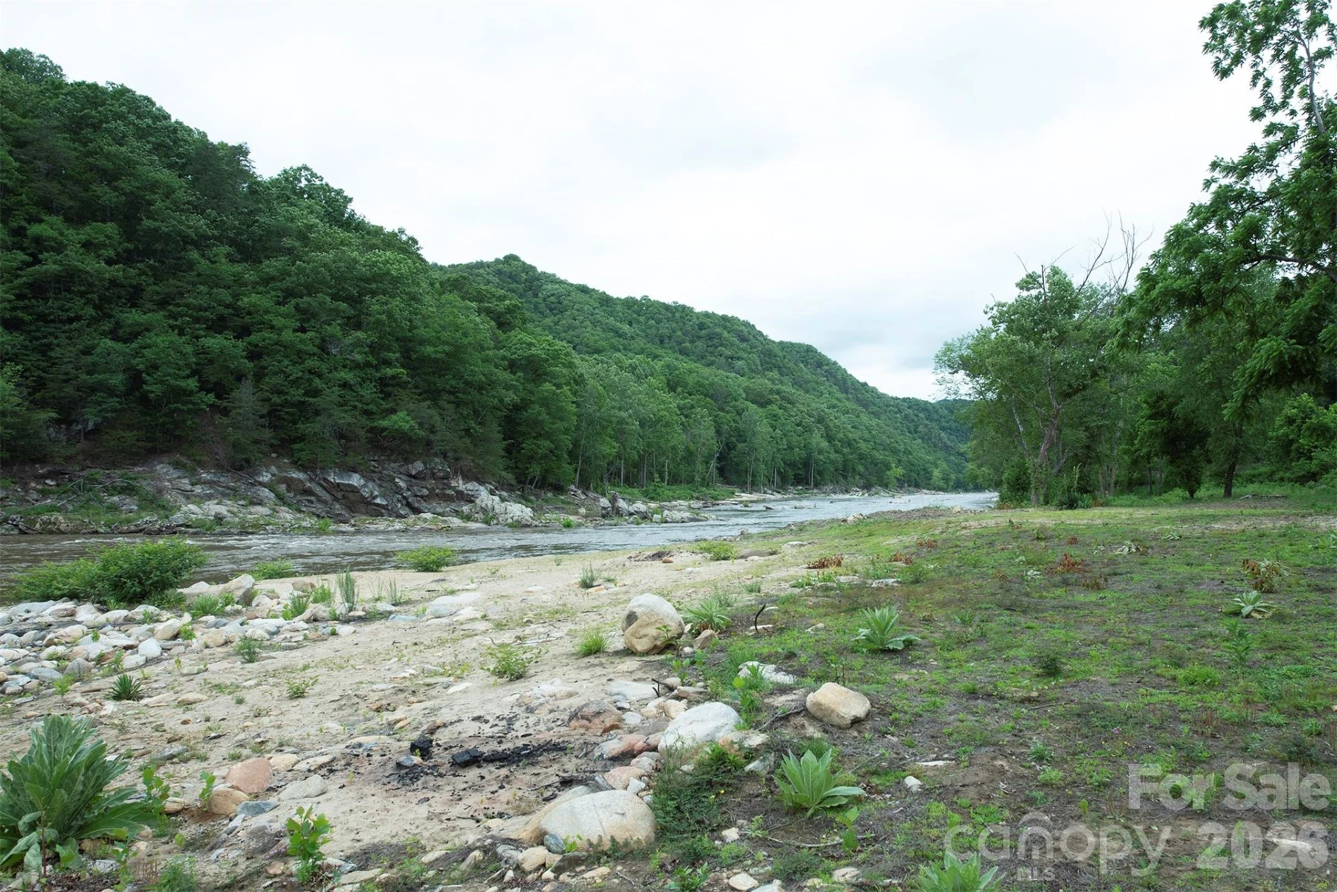 2391 French Broad Parkway #34 - Photo 9