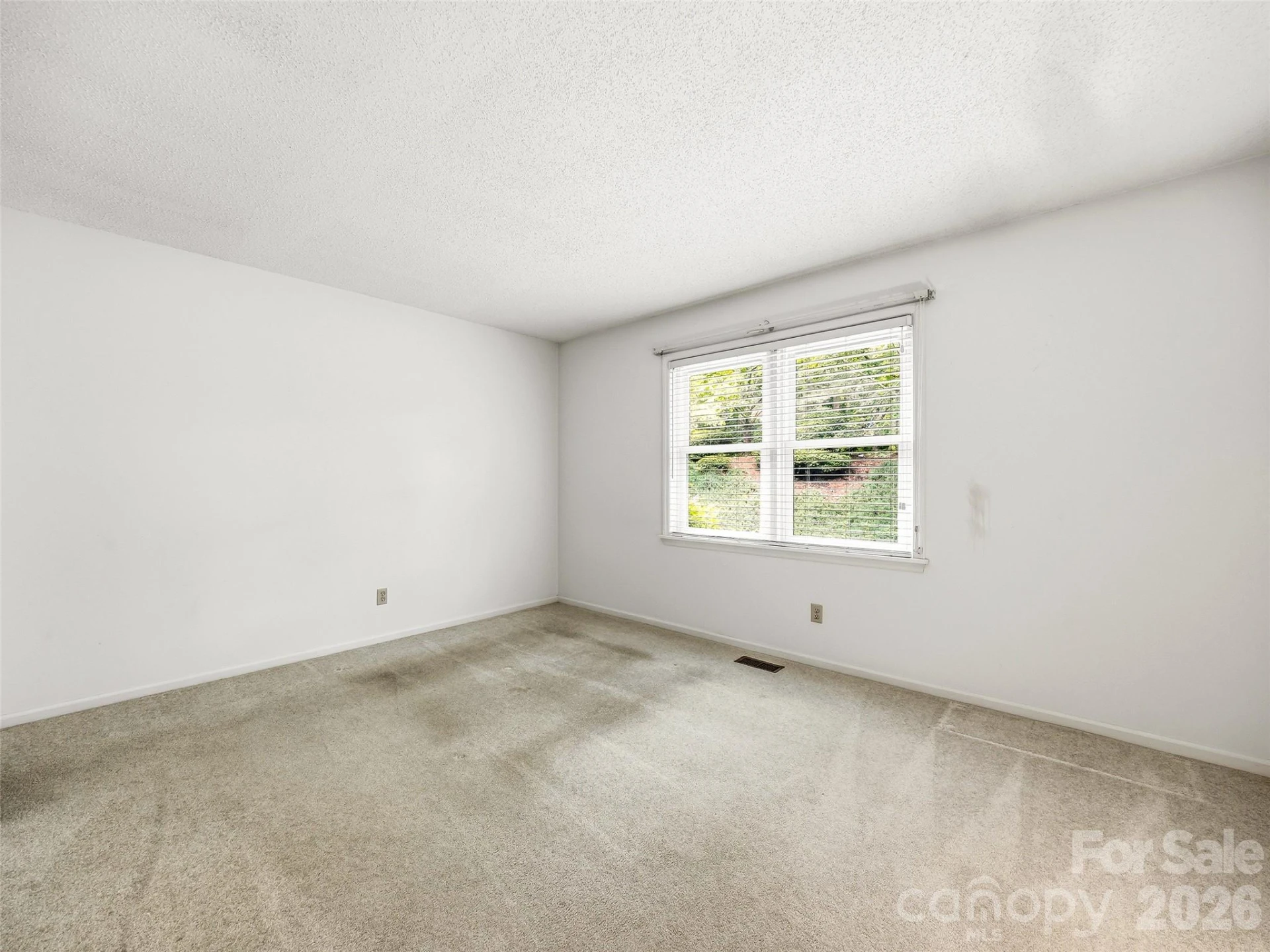 126 Surry Lane - Photo 24