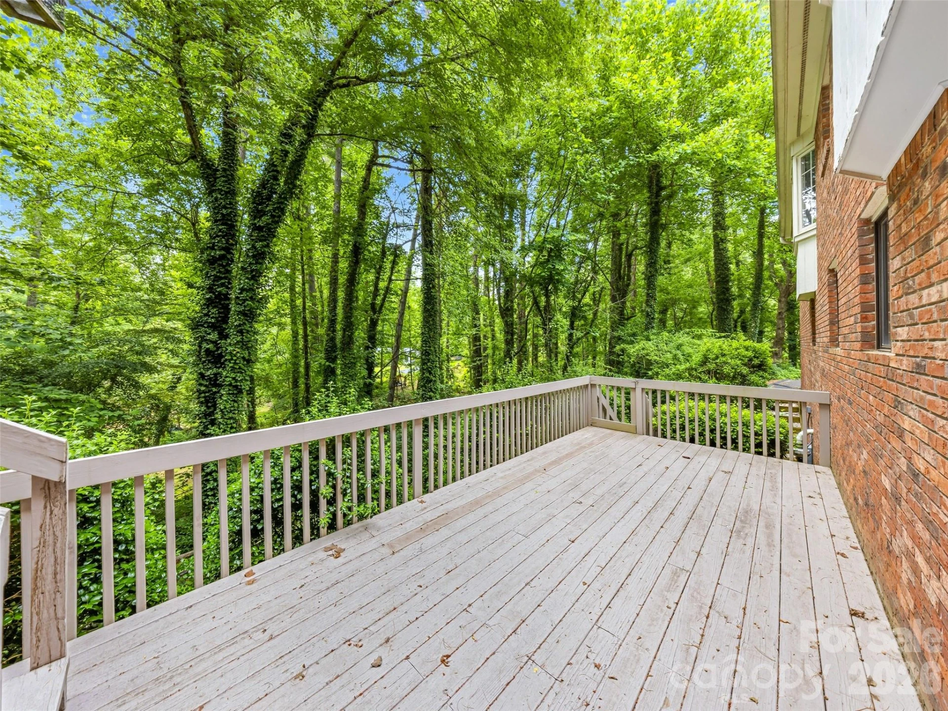 126 Surry Lane - Photo 37