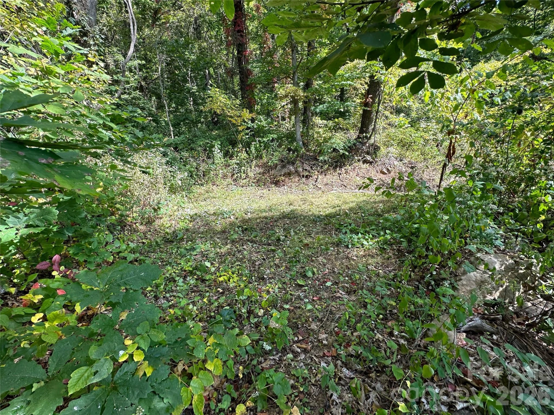 00 High Rock View Drive - Photo 11