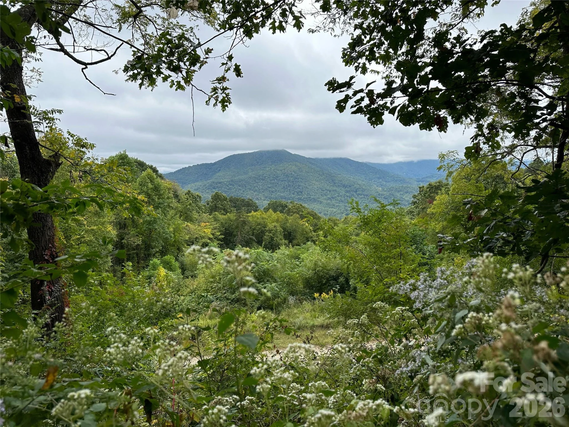 00 High Rock View Drive - Photo 12