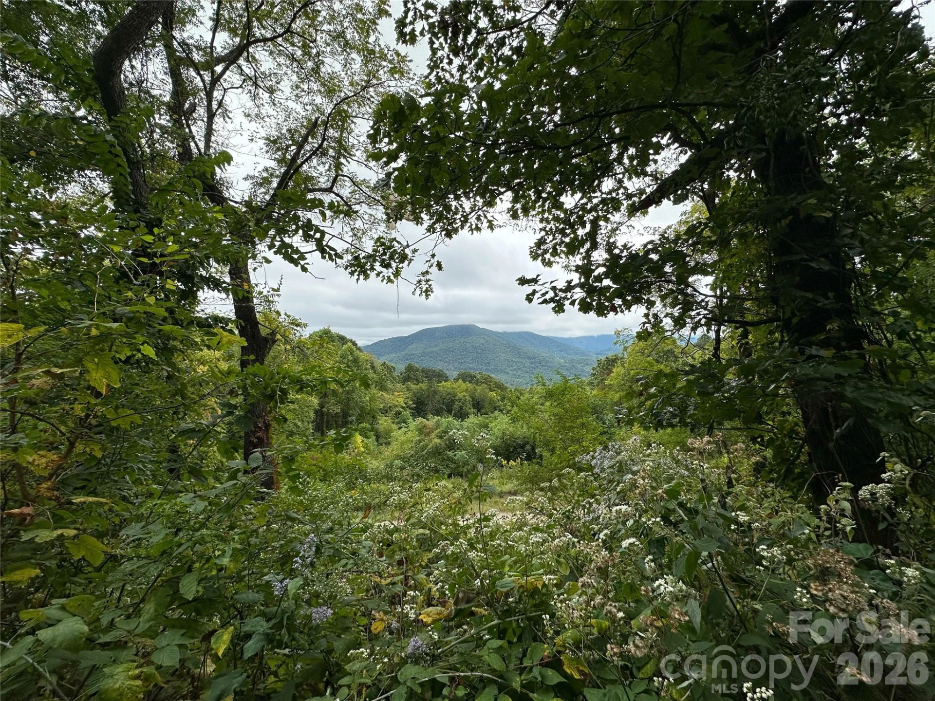 00 High Rock View Drive - Photo 13