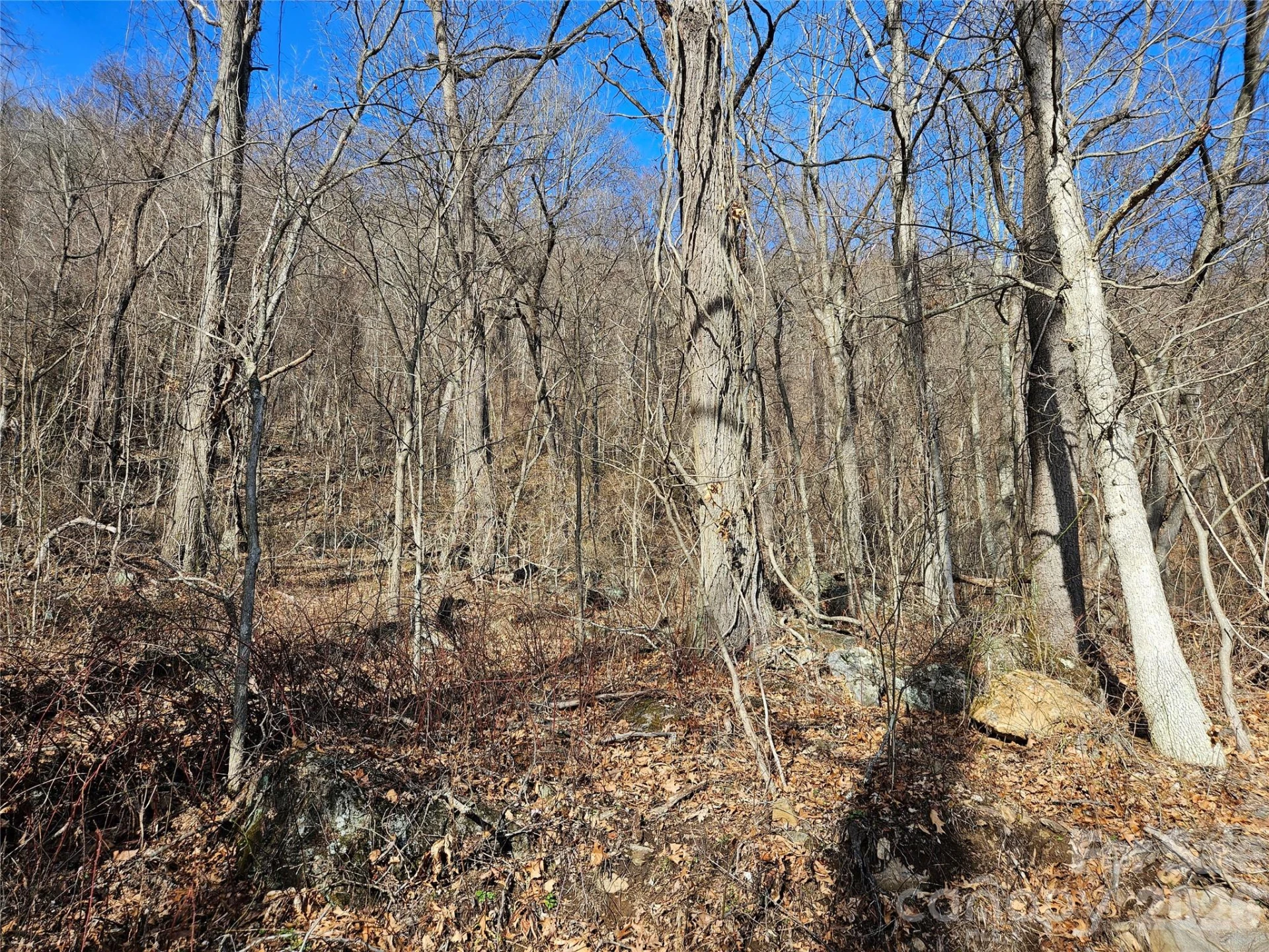 00 High Rock View Drive - Photo 15