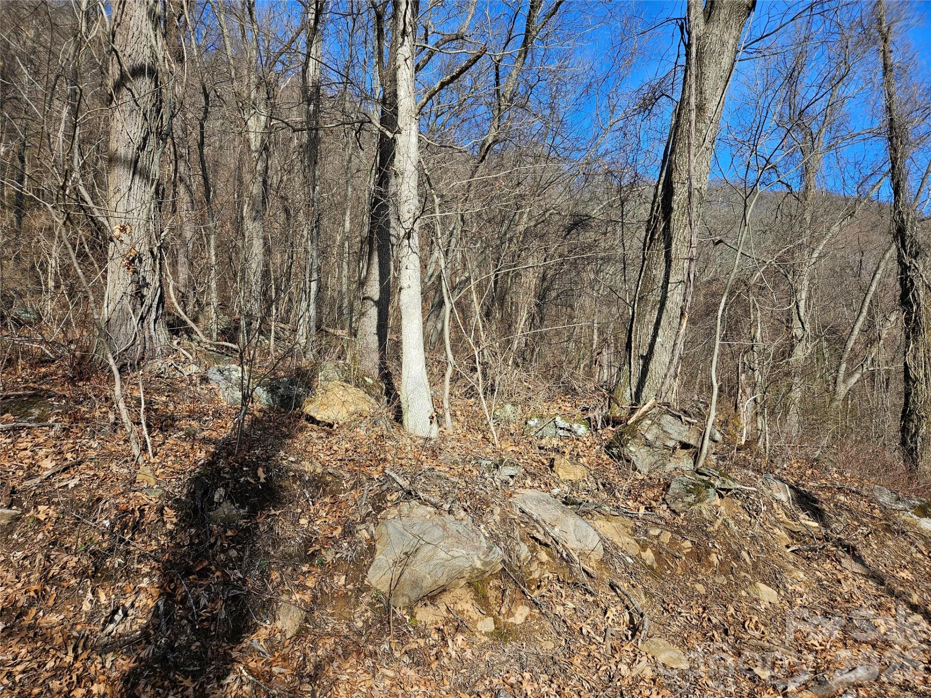 00 High Rock View Drive - Photo 16