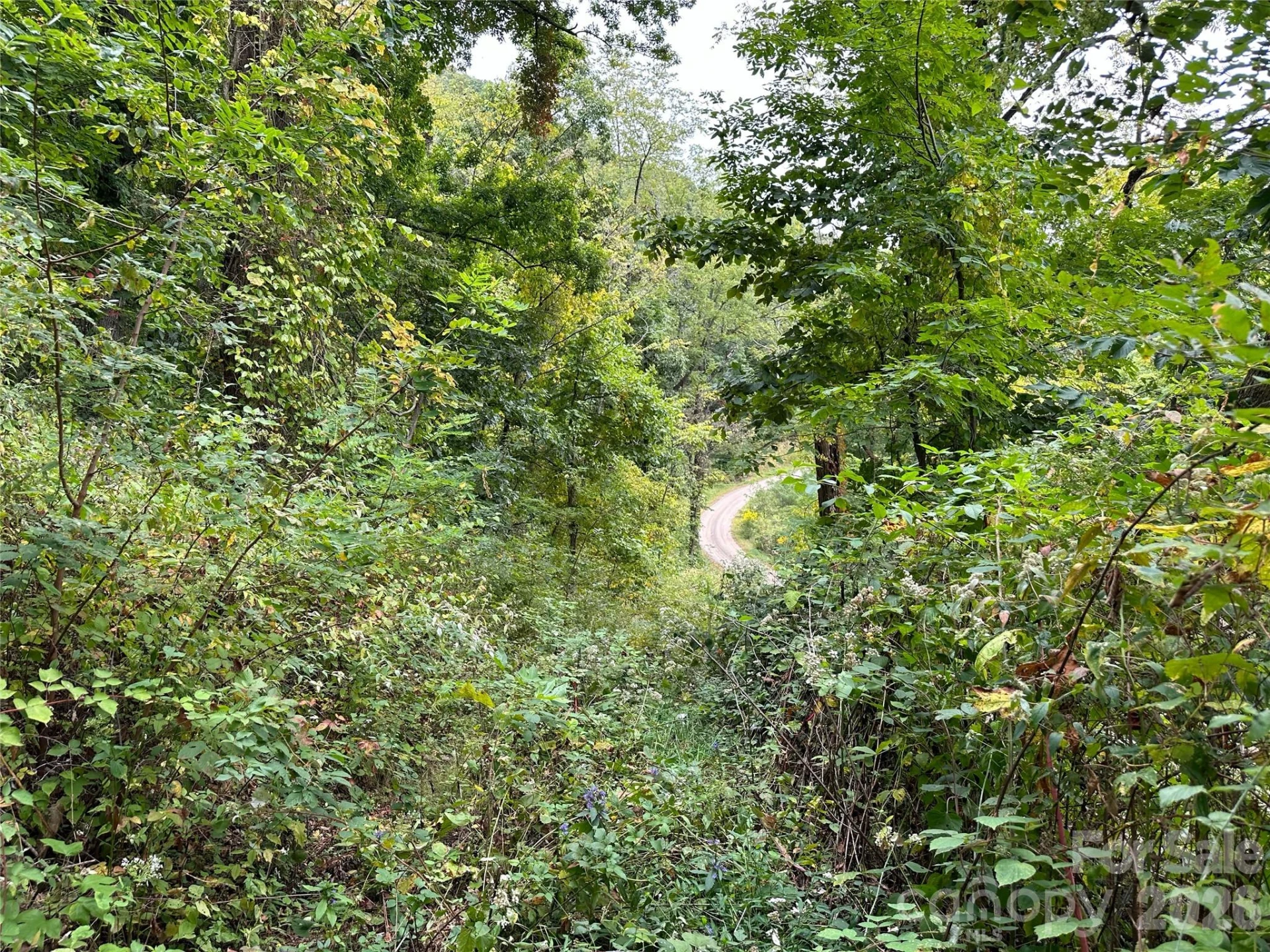 00 High Rock View Drive - Photo 4