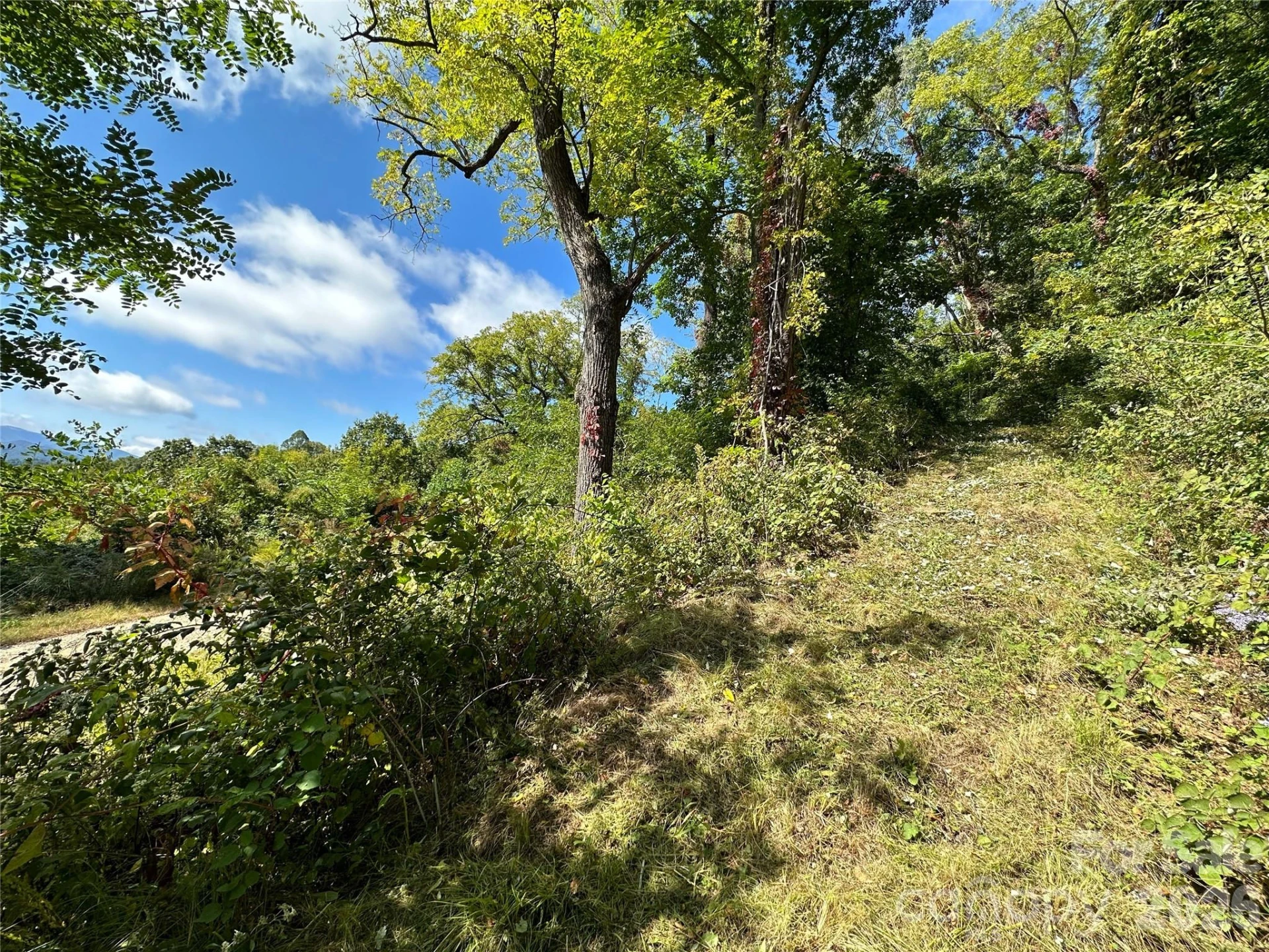 00 High Rock View Drive - Photo 5
