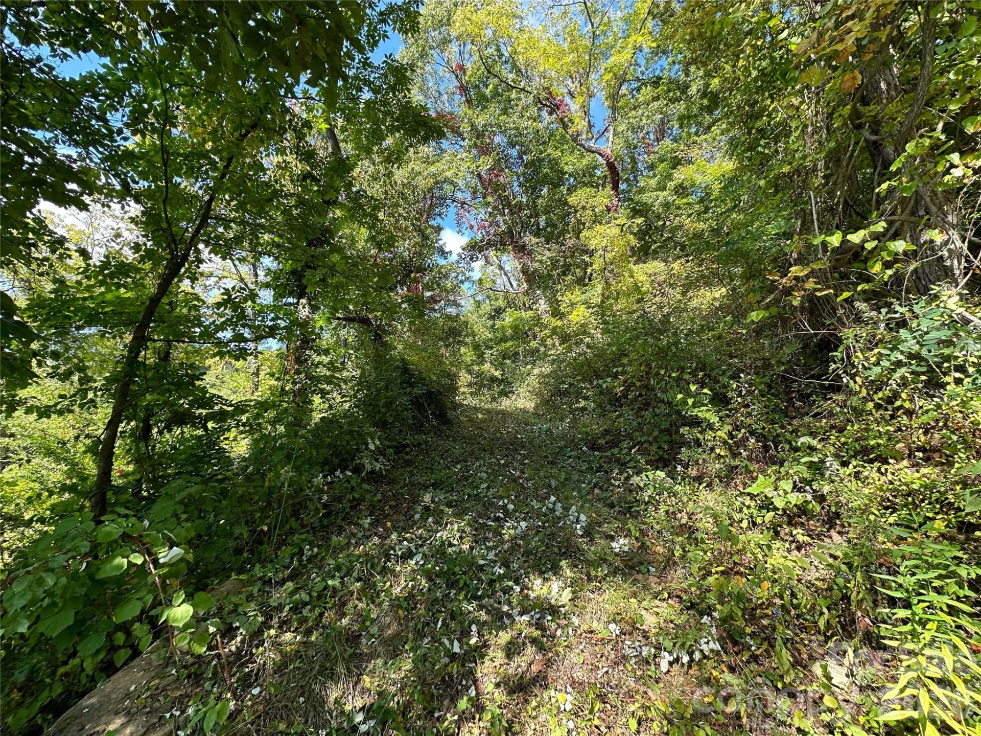 00 High Rock View Drive - Photo 6