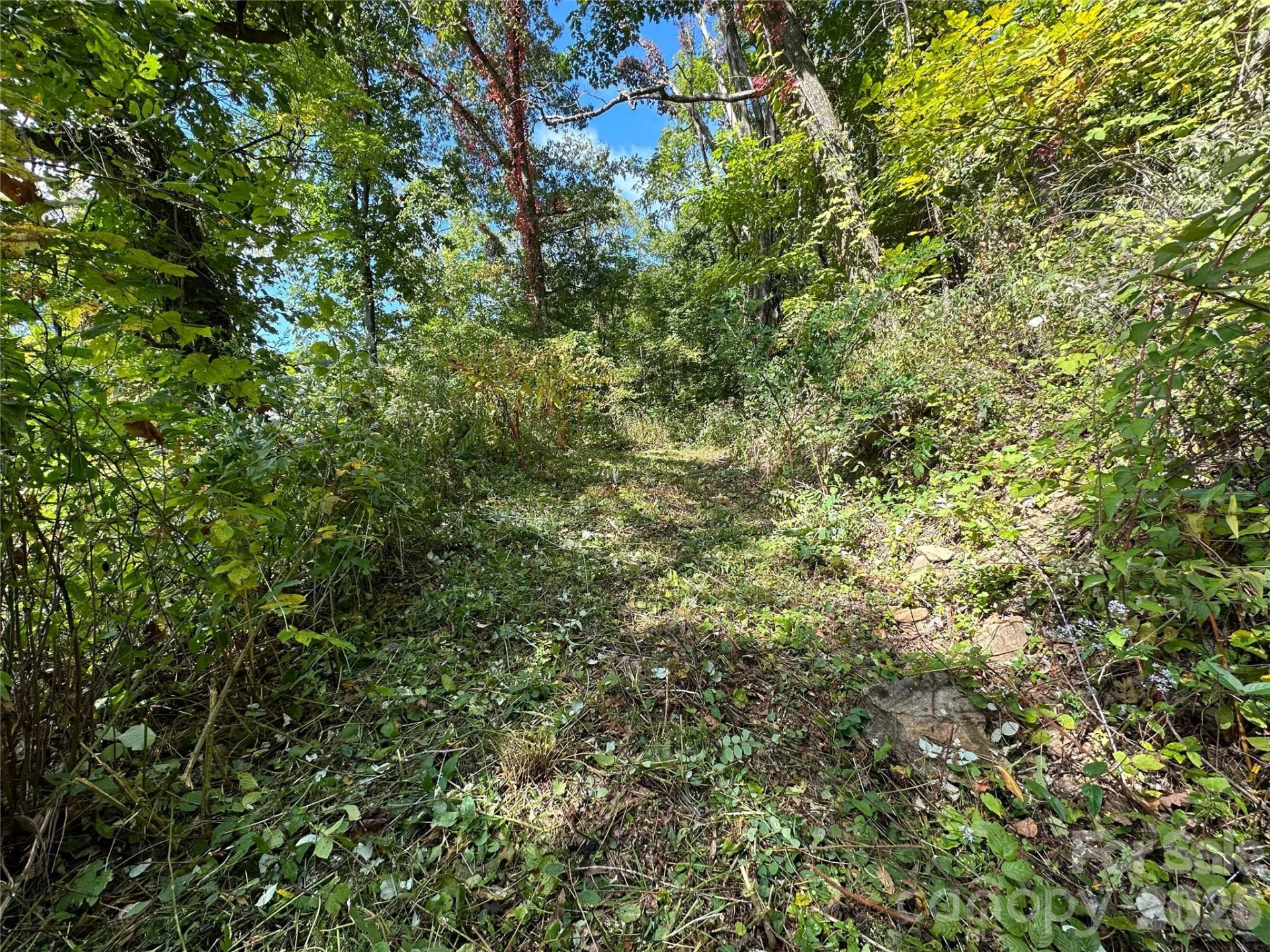 00 High Rock View Drive - Photo 7