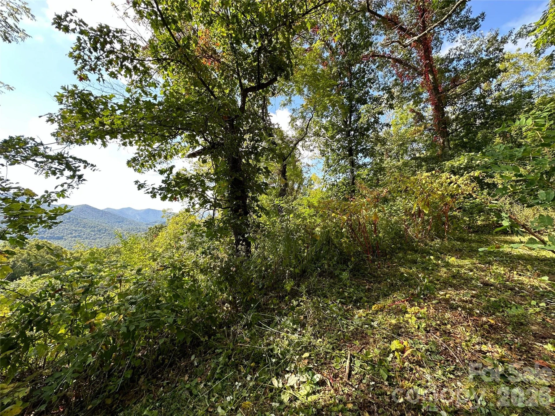 00 High Rock View Drive - Photo 8