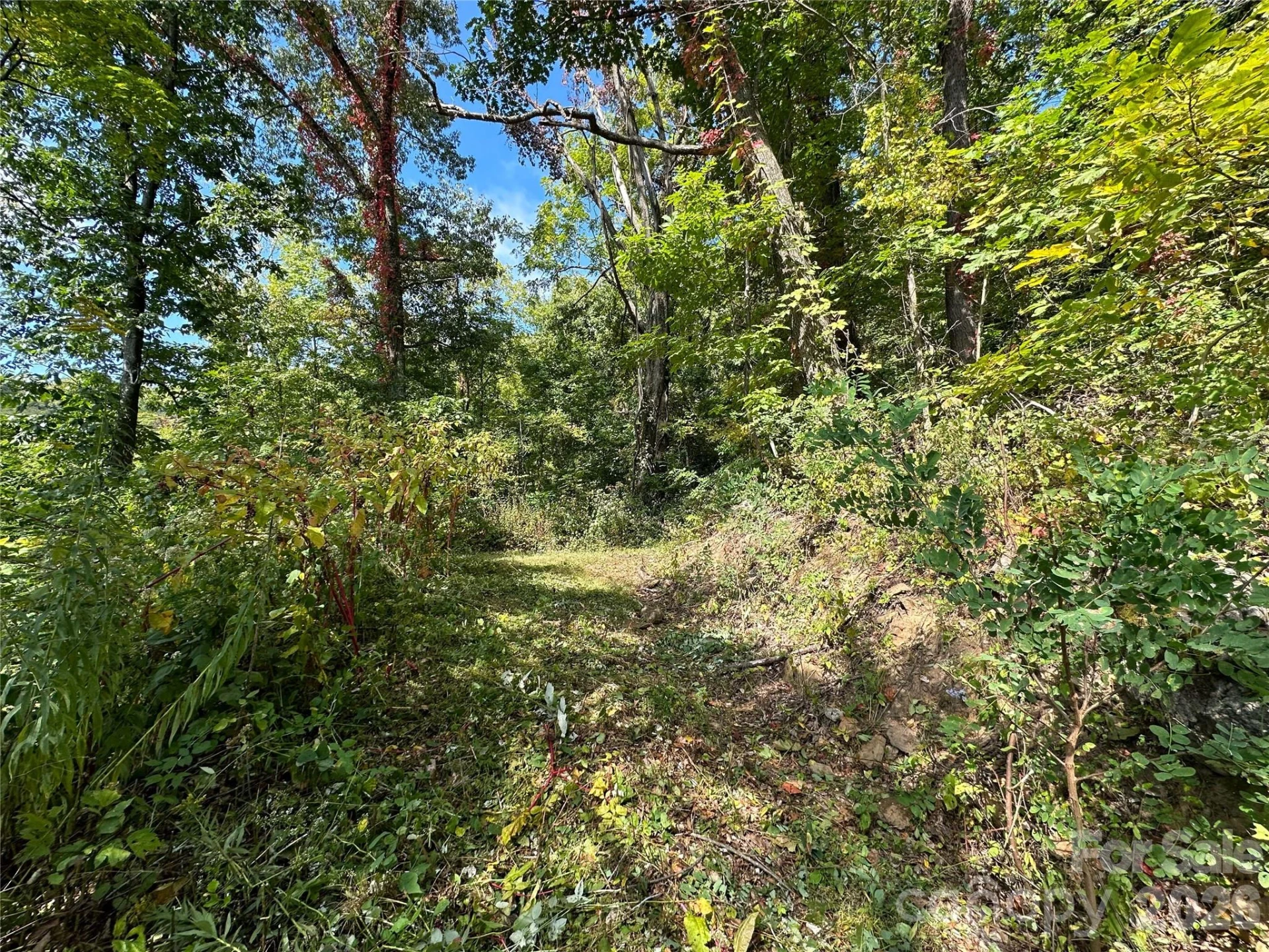 00 High Rock View Drive - Photo 9