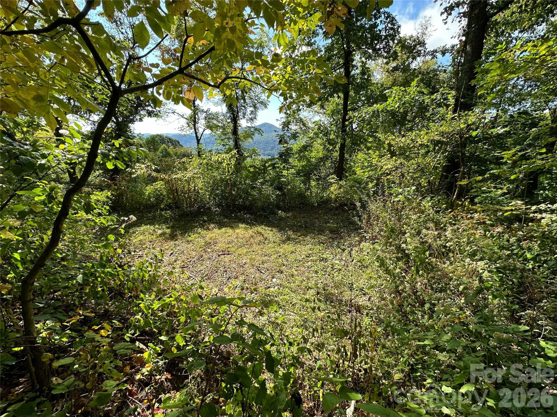 00 High Rock View Drive - Photo 10