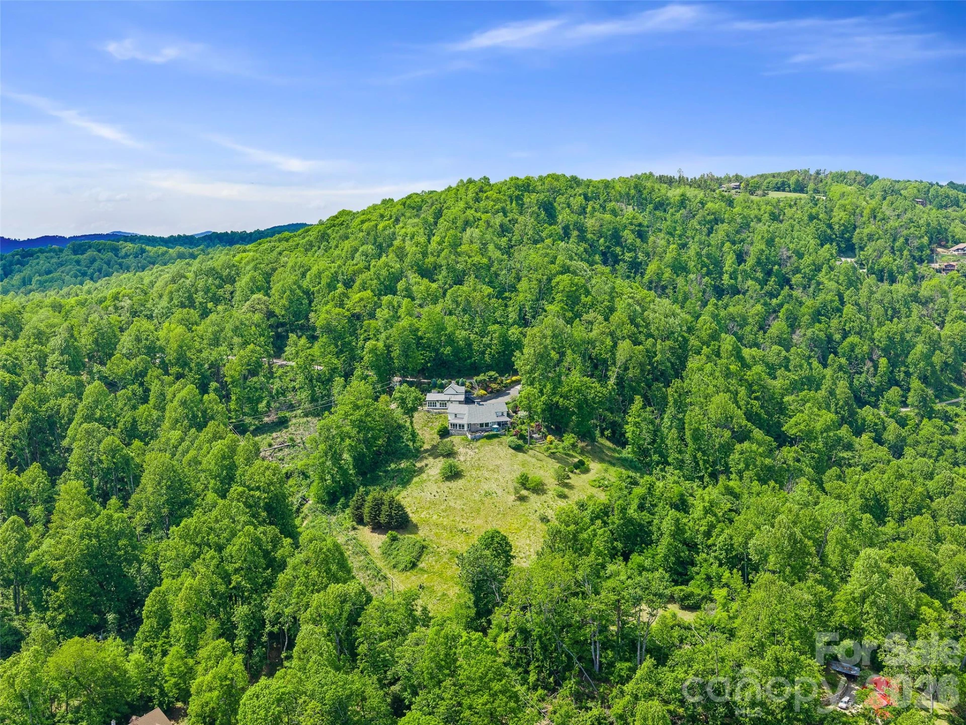 729 Bear Wallow Road - Photo 9