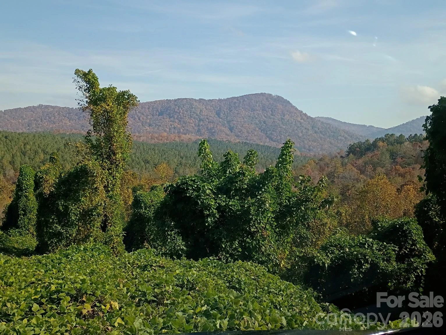 3024 Camp Creek Road - Photo 2