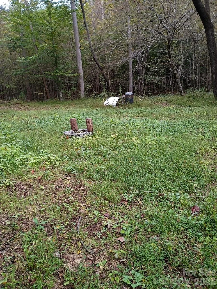 3024 Camp Creek Road - Photo 3